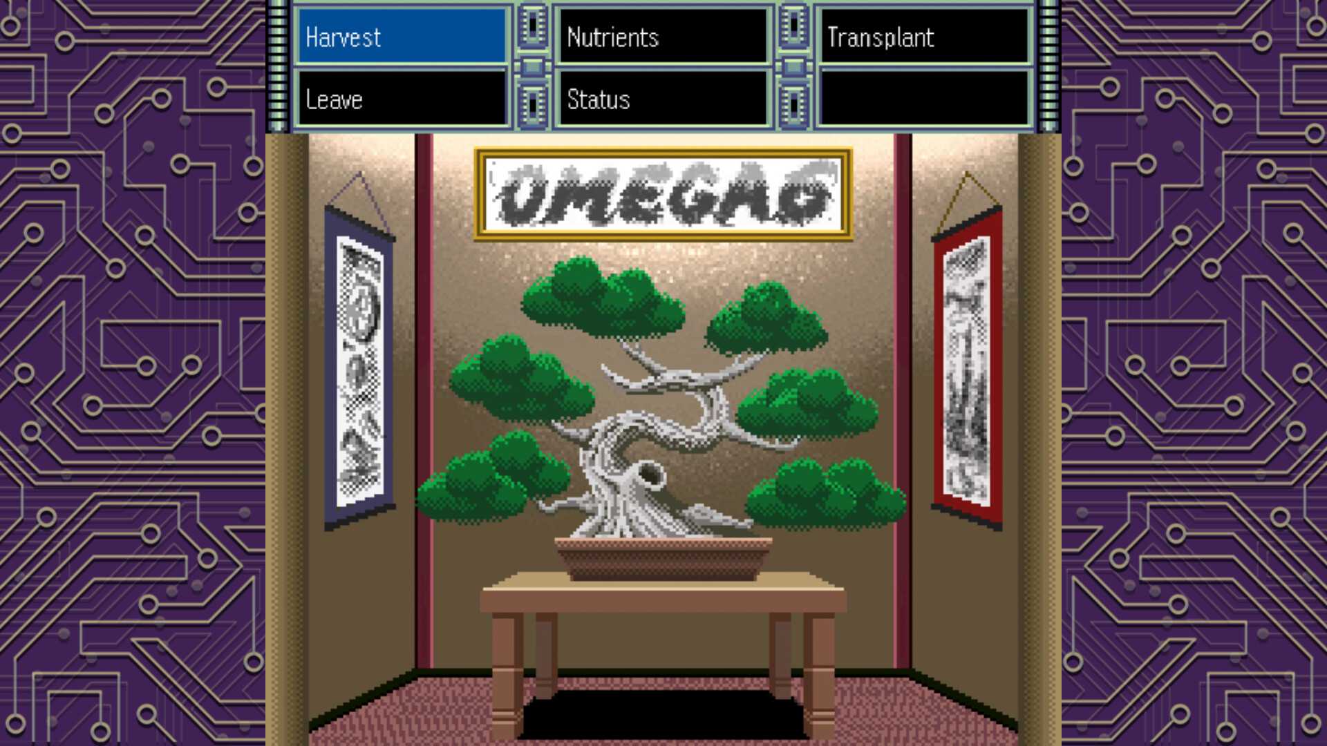 欧米茄6:三角星/OMEGA 6 The Triangle Stars