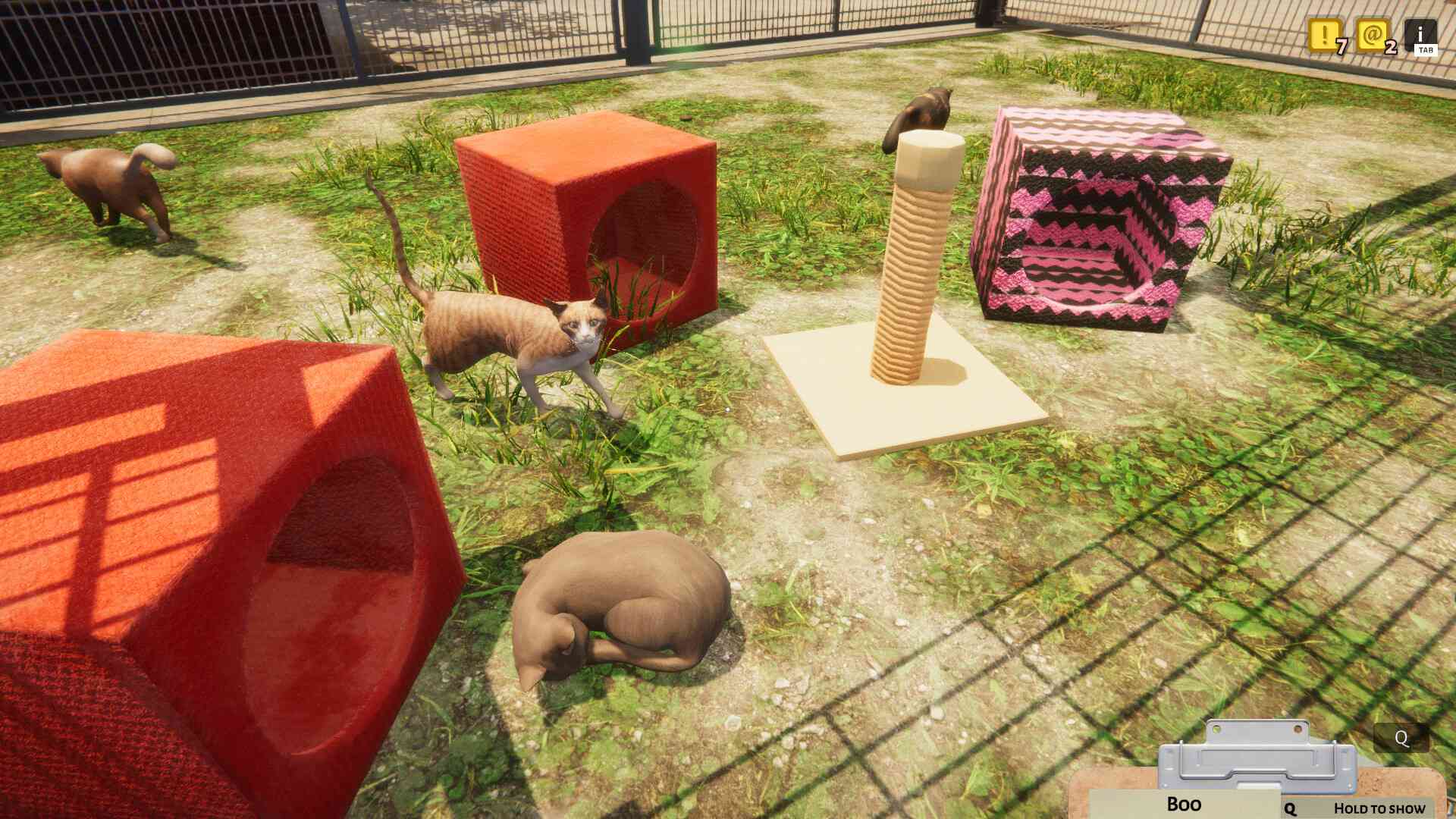 动物收容所/Animal Shelter