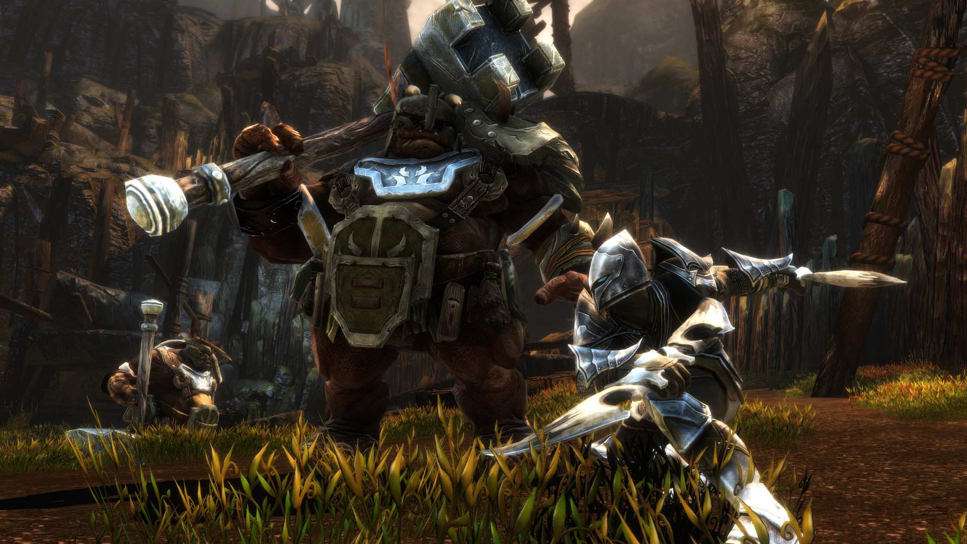 阿玛拉王国：惩罚重制版/Kingdoms of Amalur: Re-Reckoning_1