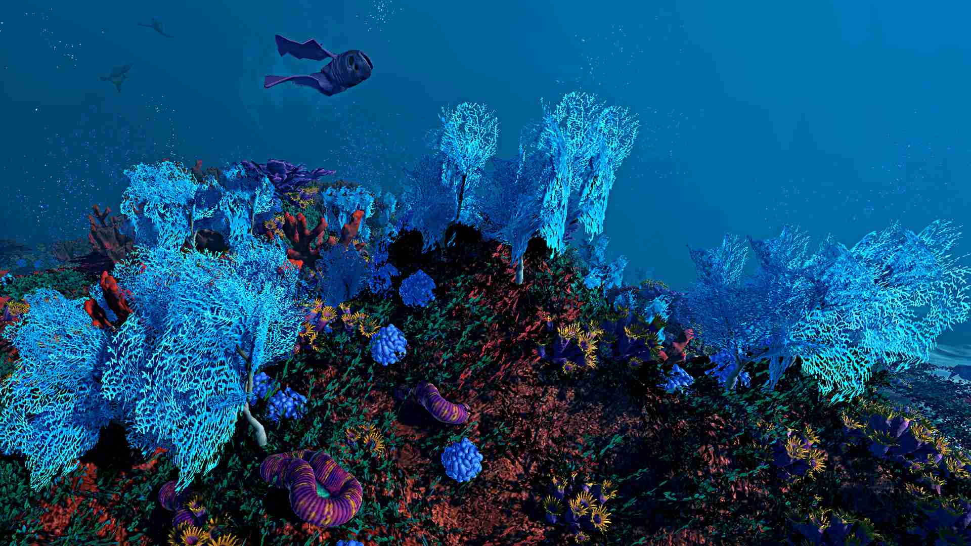 生态系统/Ecosystem_1
