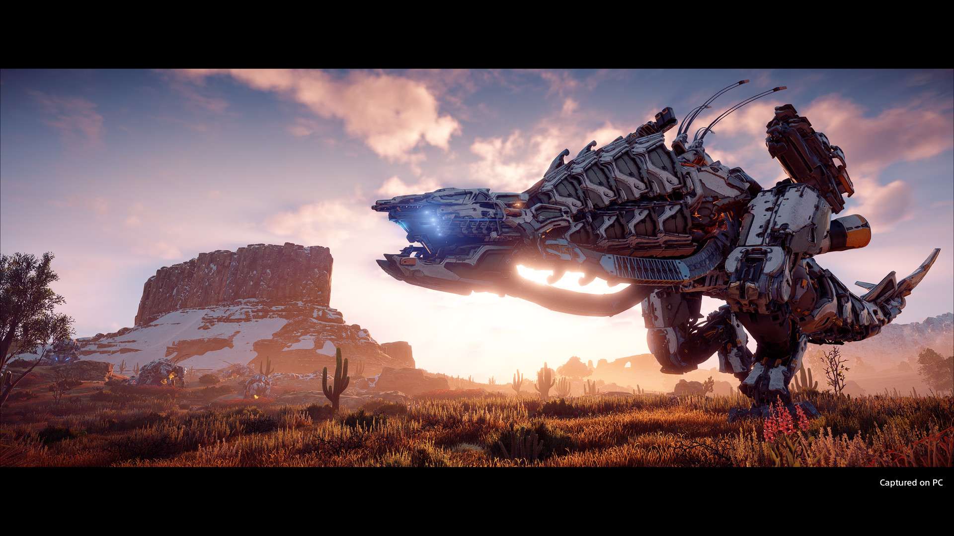 地平线:零之曙光完全版/Horizon Zero Dawn Complete Edition_2