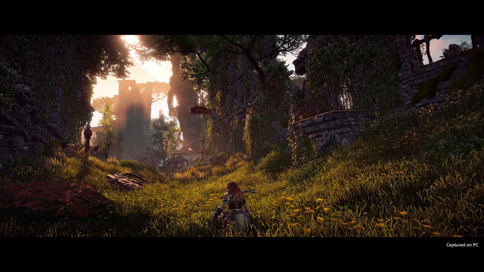 地平线:零之曙光完全版/Horizon Zero Dawn Complete Edition_4