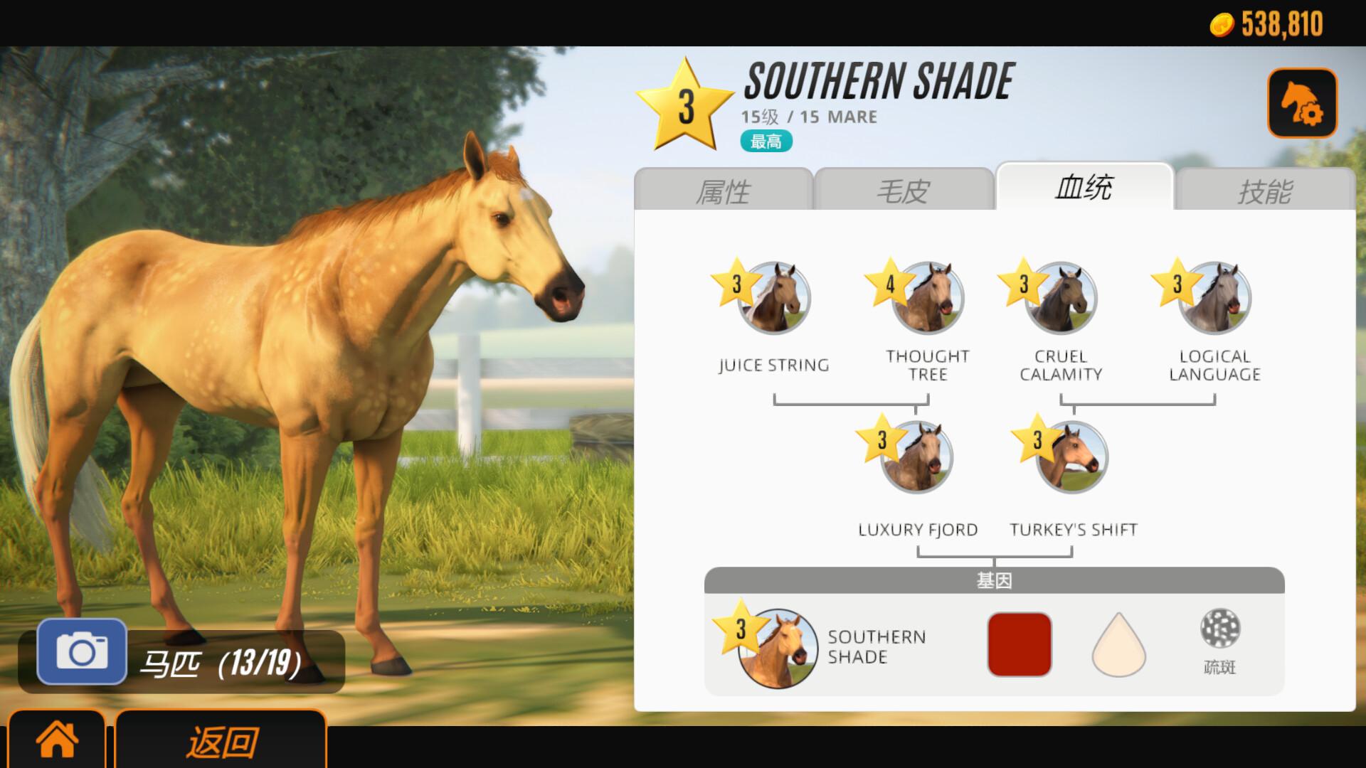 家族传奇:马匹养成竞技/Rival Stars Horse Racing: Desktop Edition_5