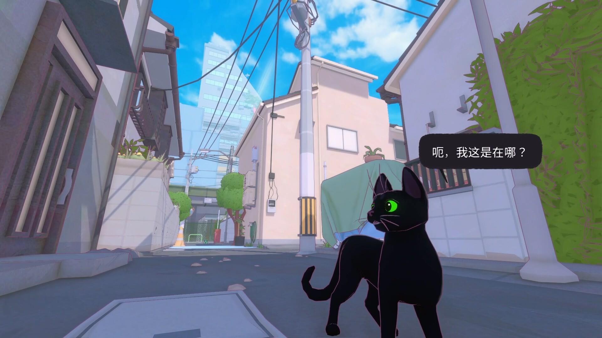 小猫咪大城市/Little Kitty, Big City_0