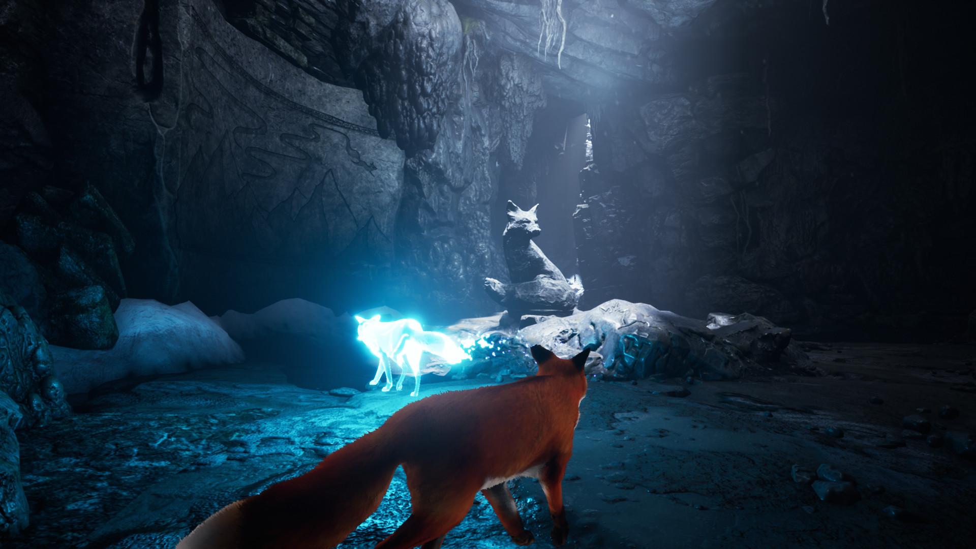北方之魂/北方之灵/灵狐之魂/红色狐狸/Spirit of the North_2