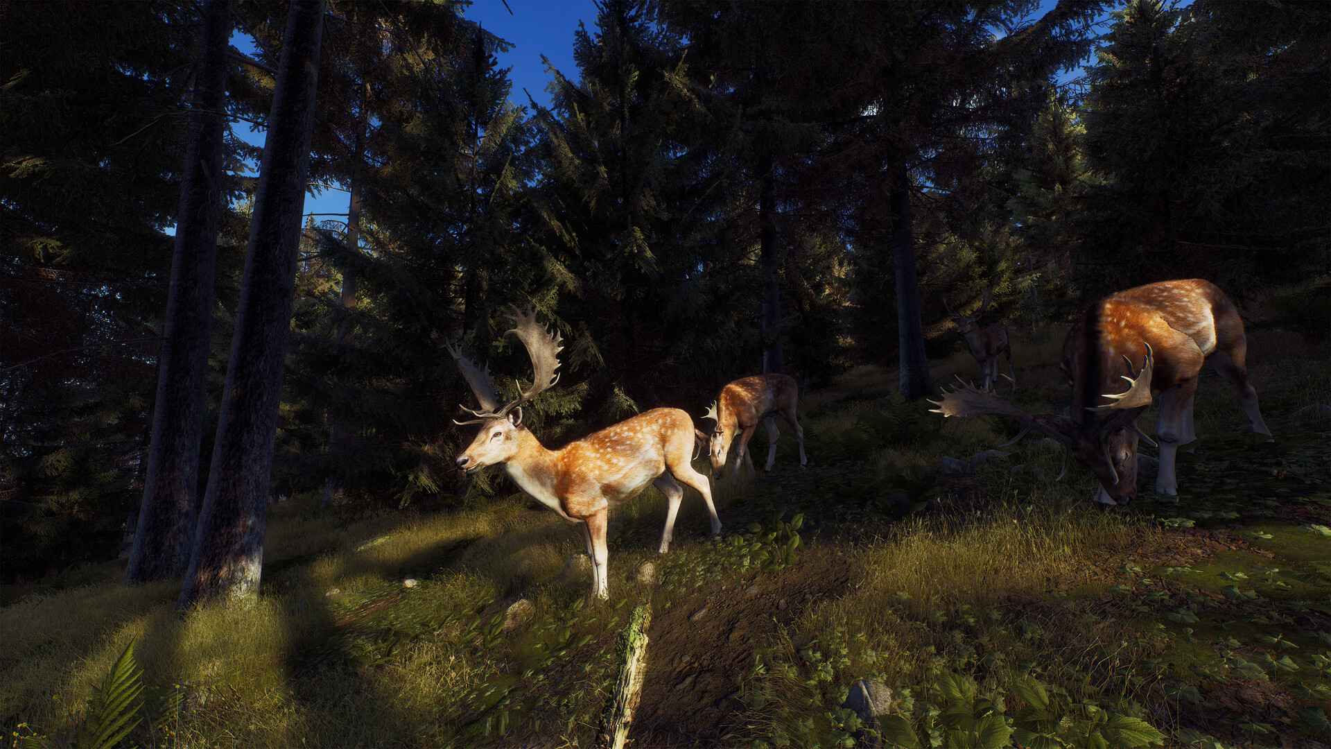 狩猎之道/猎人之路/Way of the Hunter_1