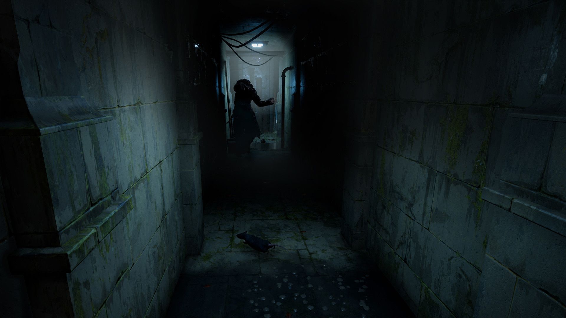 恐怖故事:葡萄酒/HORROR TALES: The Wine_1