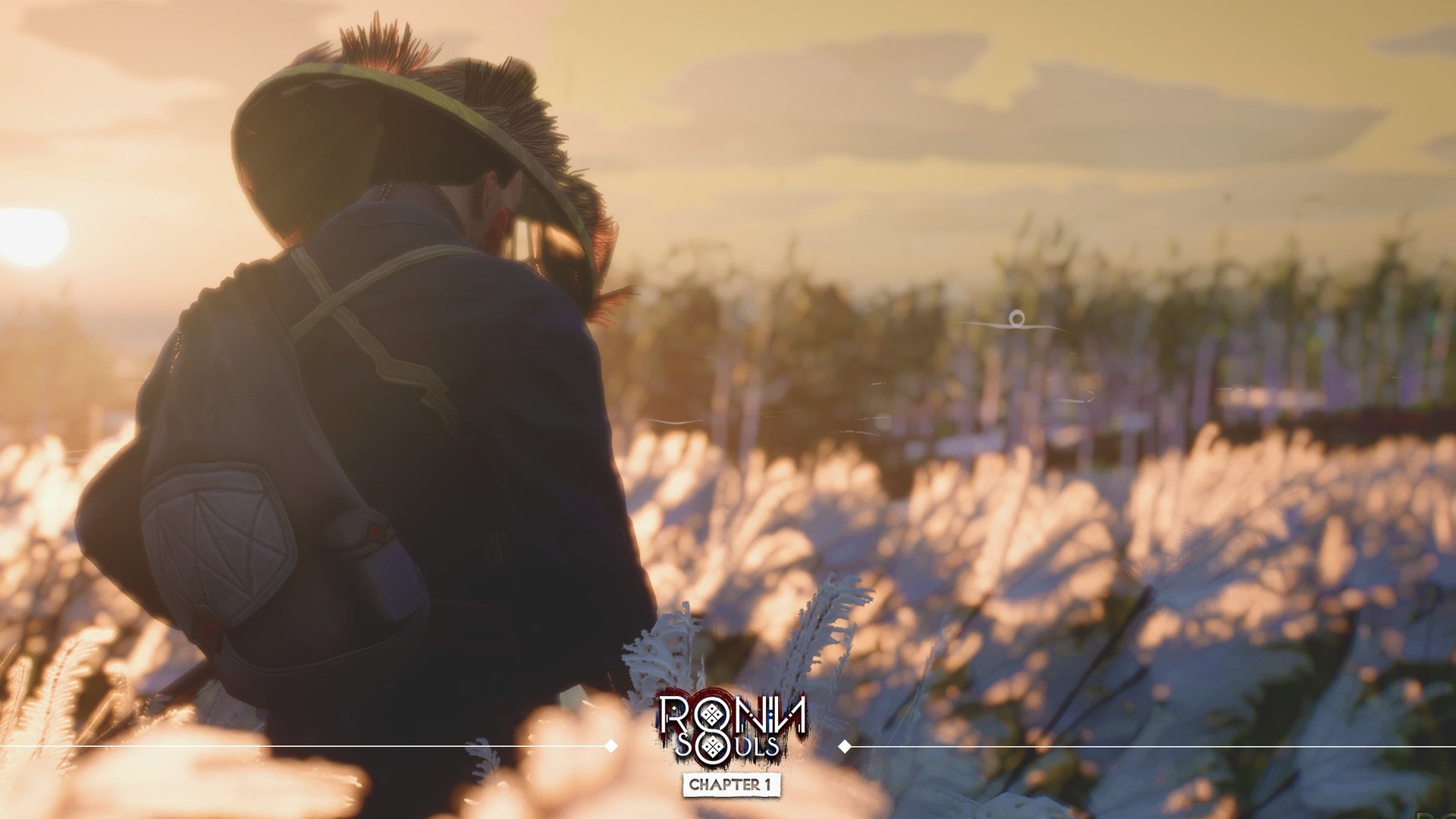 浪人:两魂一体/RONIN: Two Souls CHAPTER 1_0