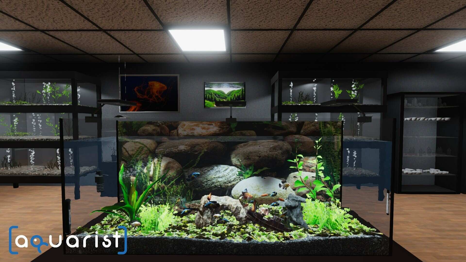 Aquarist - 建造水族馆,养鱼,发展你的事业!_0
