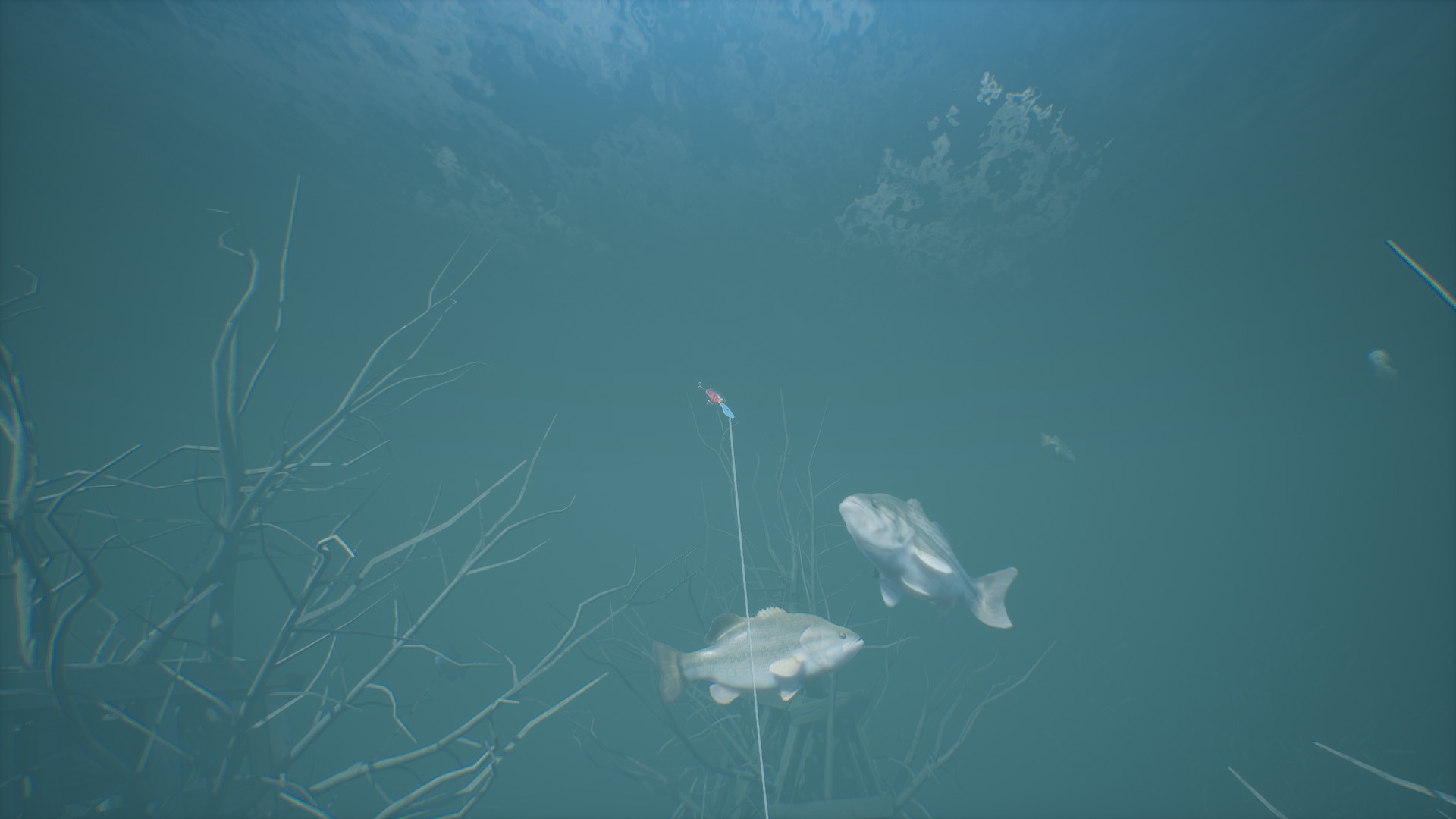鲈鱼大师赛2022/Bassmaster Fishing 2022_7