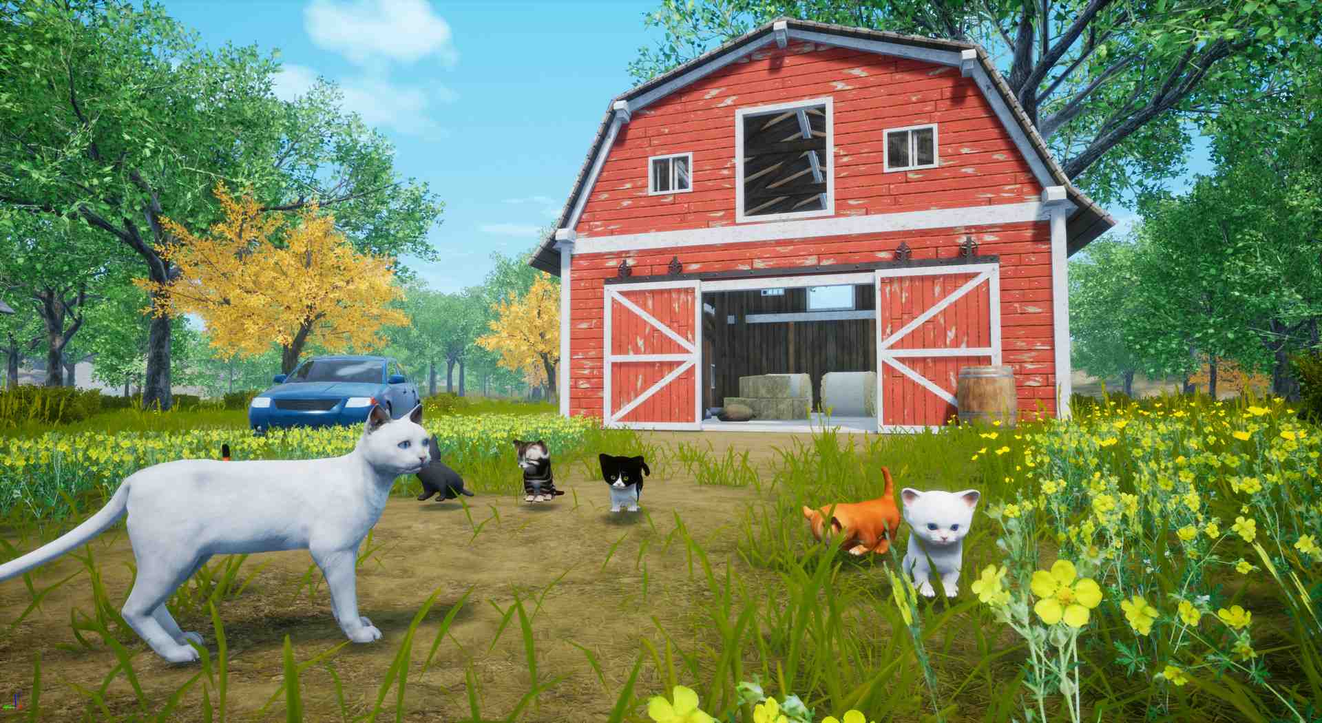 猫模拟器/Cat Simulator_1