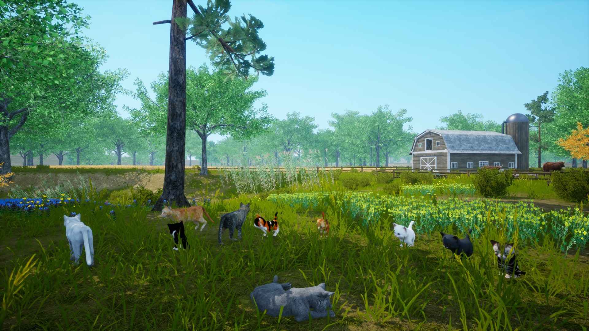 猫模拟器/Cat Simulator_4