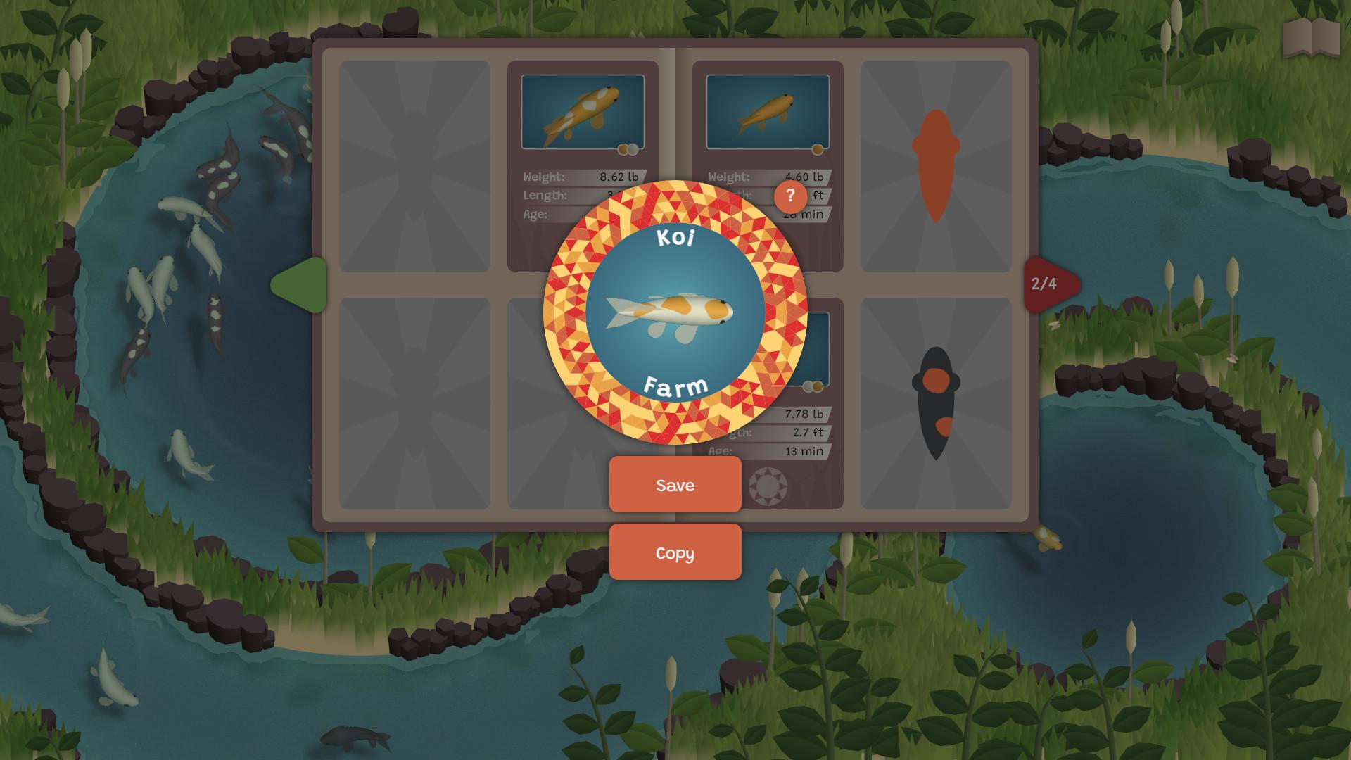 锦鲤养殖场/Koi Farm_3