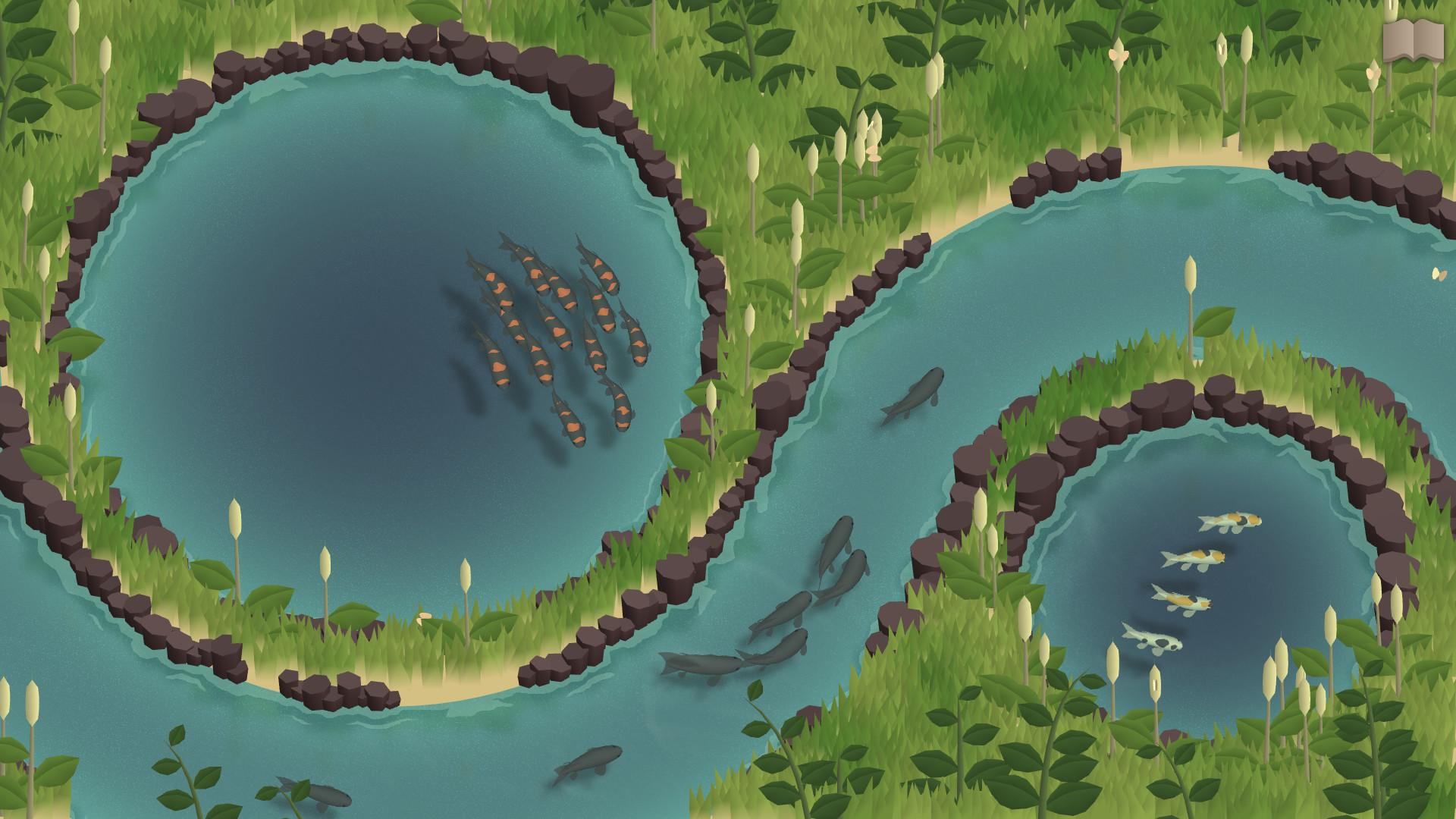 锦鲤养殖场/Koi Farm_2