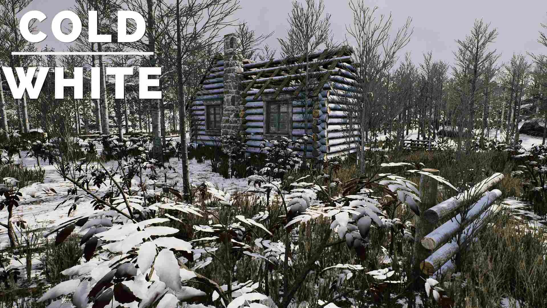 冷白/The Cold White_0
