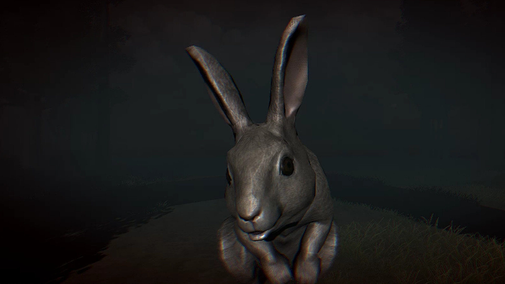 兔子骚动/Rabbit Riot_3