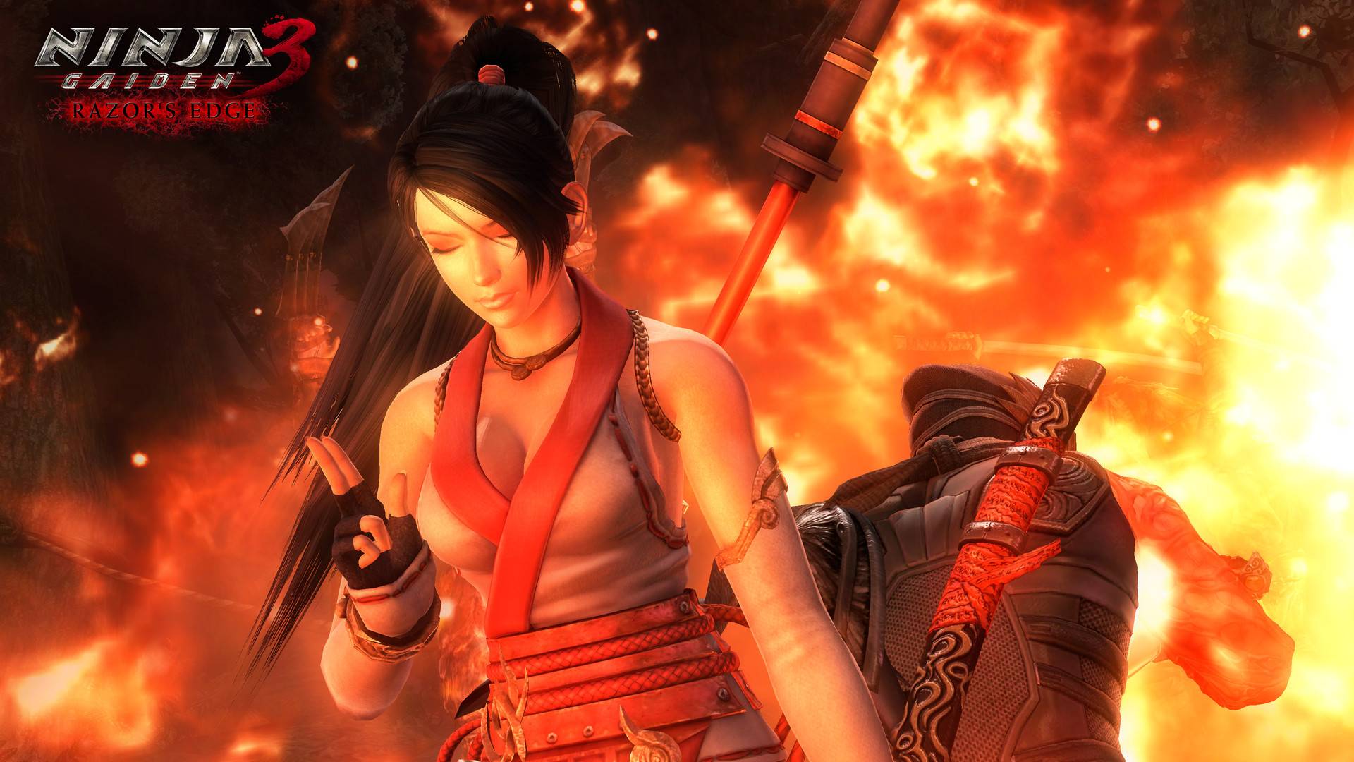 忍者龙剑传:大师合集/NINJA GAIDEN: Master Collection_3