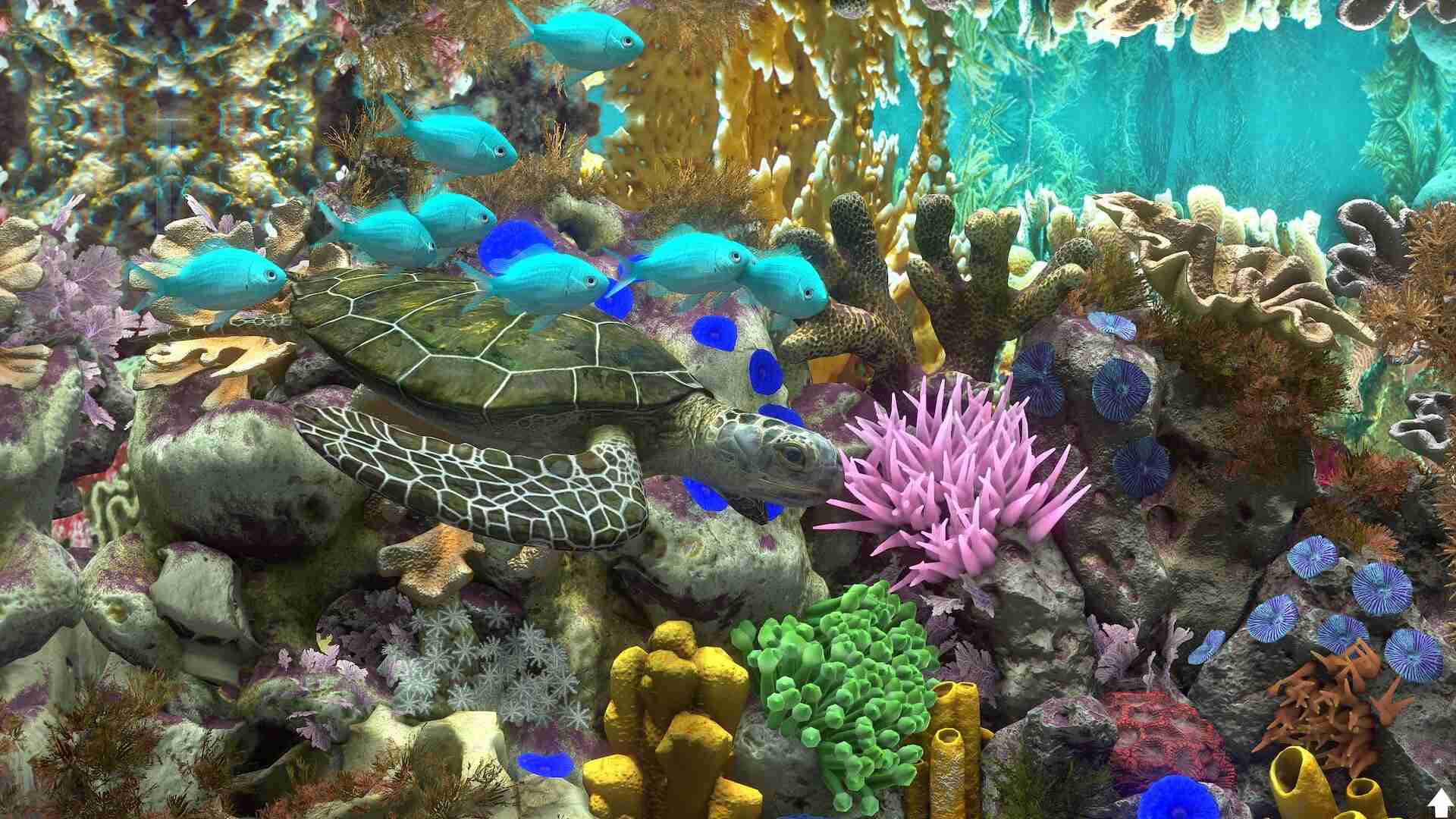 玻璃背后:水族馆模拟器/Behind Glass: Aquarium Simulator_1