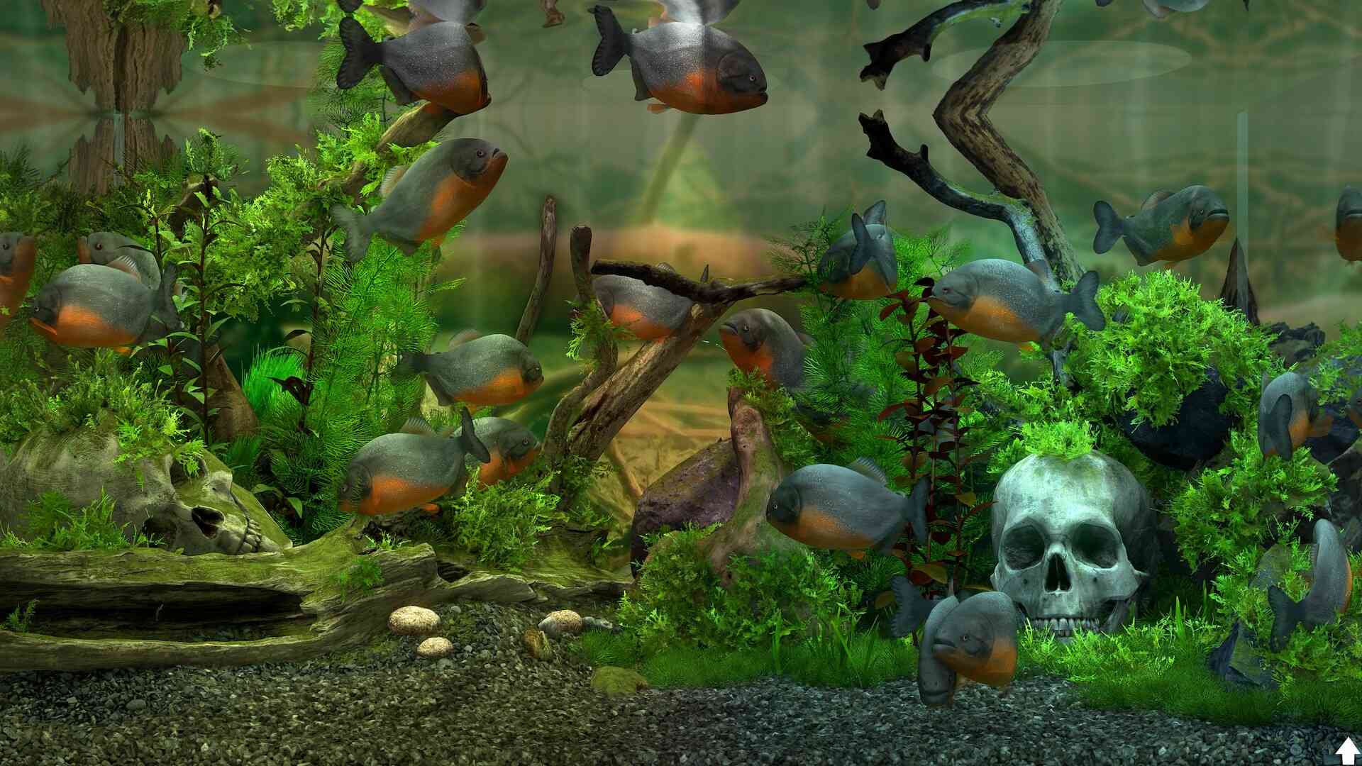 玻璃背后:水族馆模拟器/Behind Glass: Aquarium Simulator_4