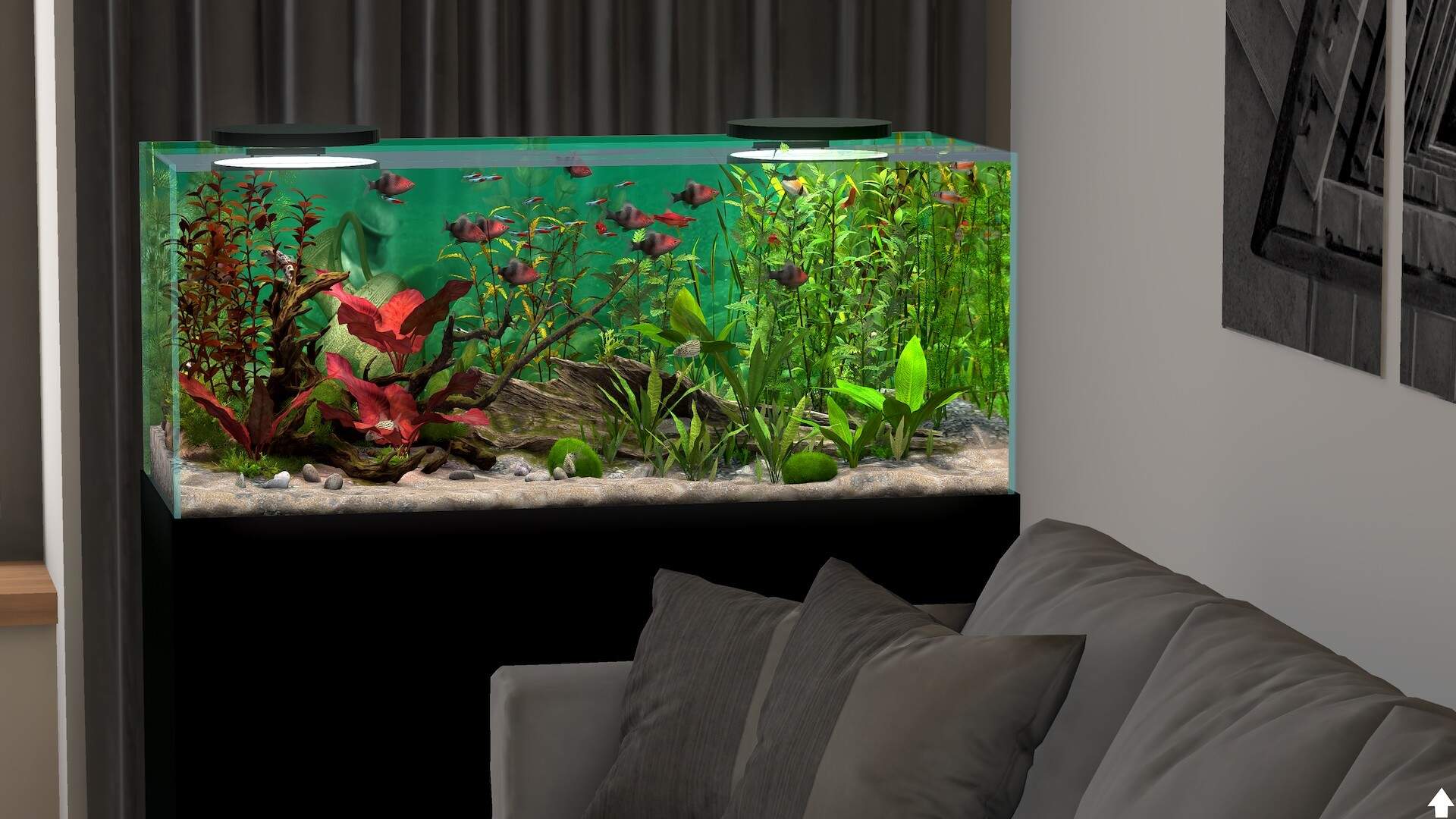 玻璃背后:水族馆模拟器/Behind Glass: Aquarium Simulator_2