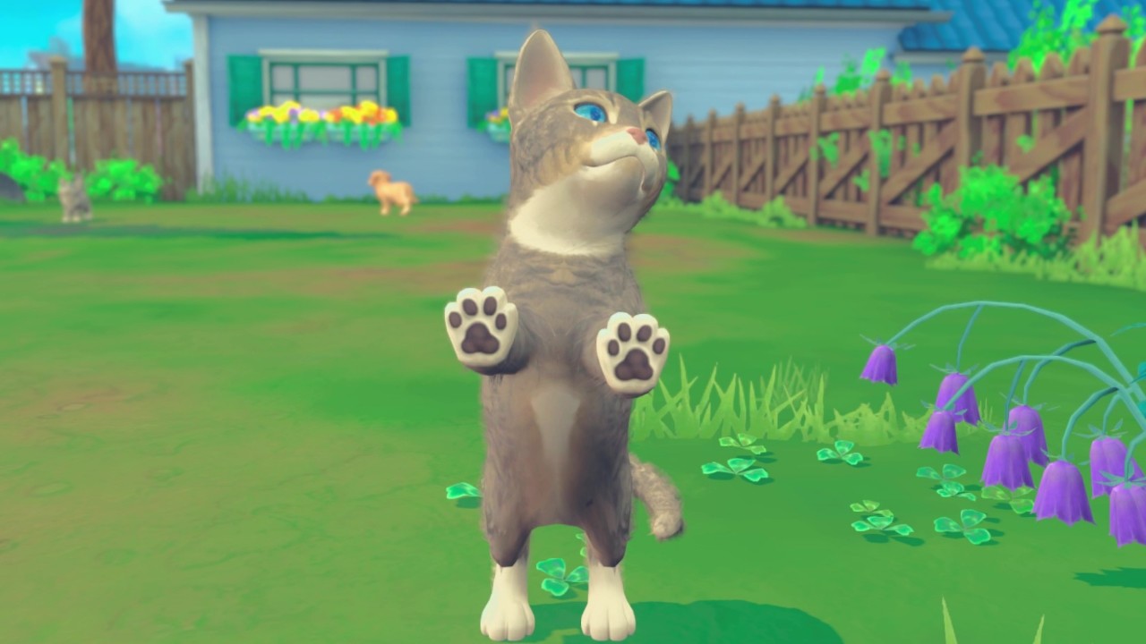 我的世界:小狗和小猫/My Universe - Puppies & Kittens_5