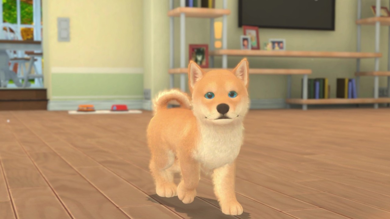 我的世界:小狗和小猫/My Universe - Puppies & Kittens_1