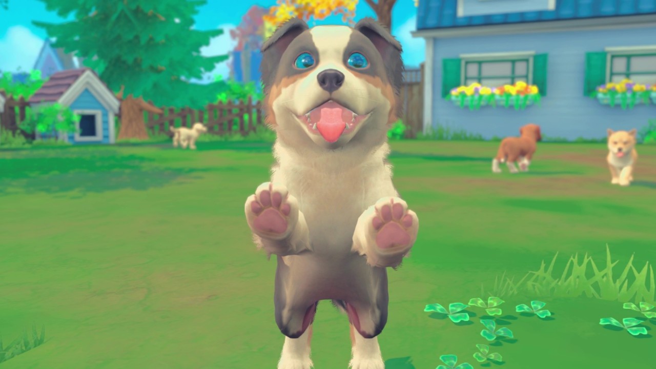 我的世界:小狗和小猫/My Universe - Puppies & Kittens_3