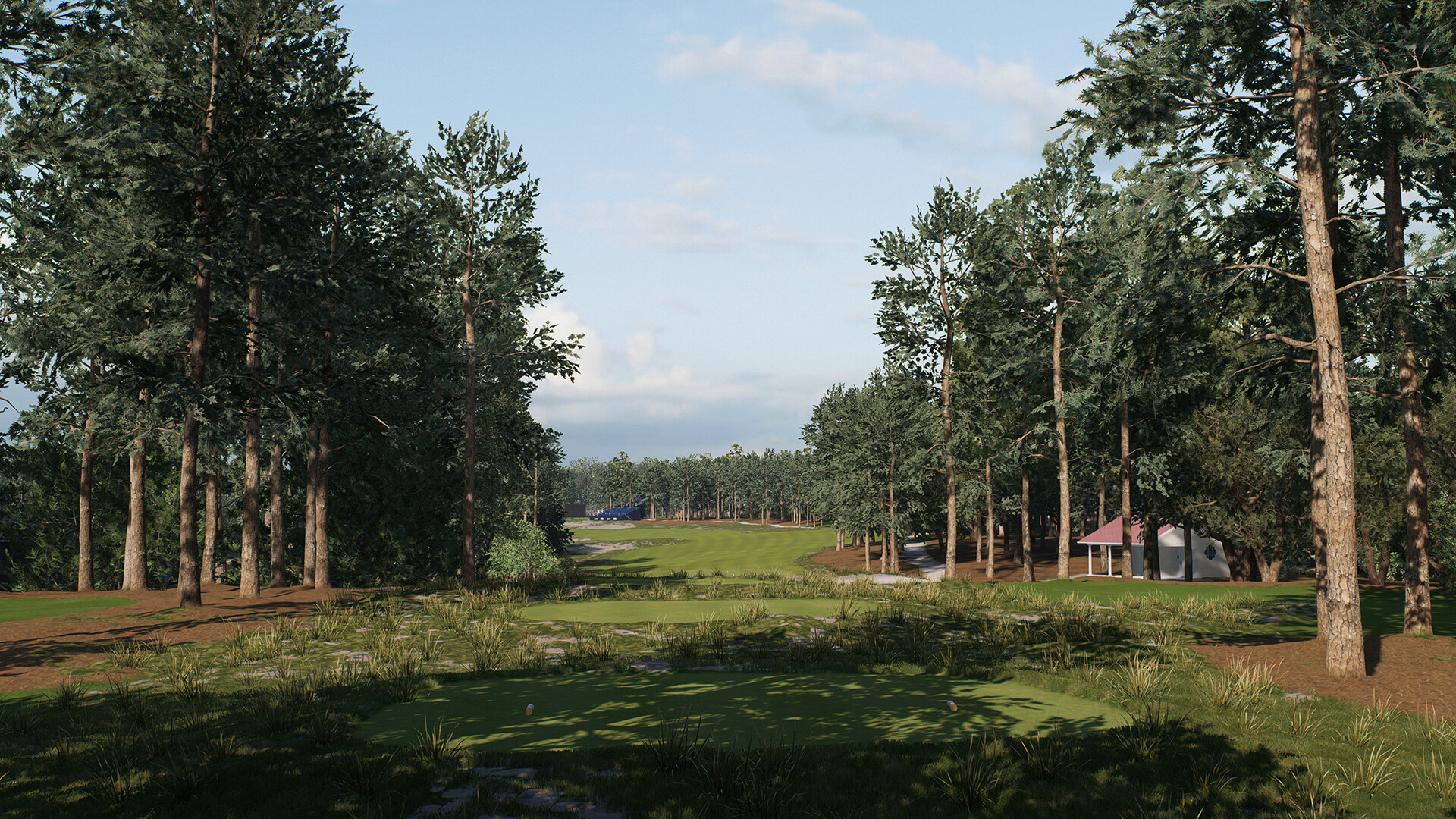 美国职业高尔夫巡回赛-虚拟机版/EA SPORTS PGA TOUR HYPERVISOR_2