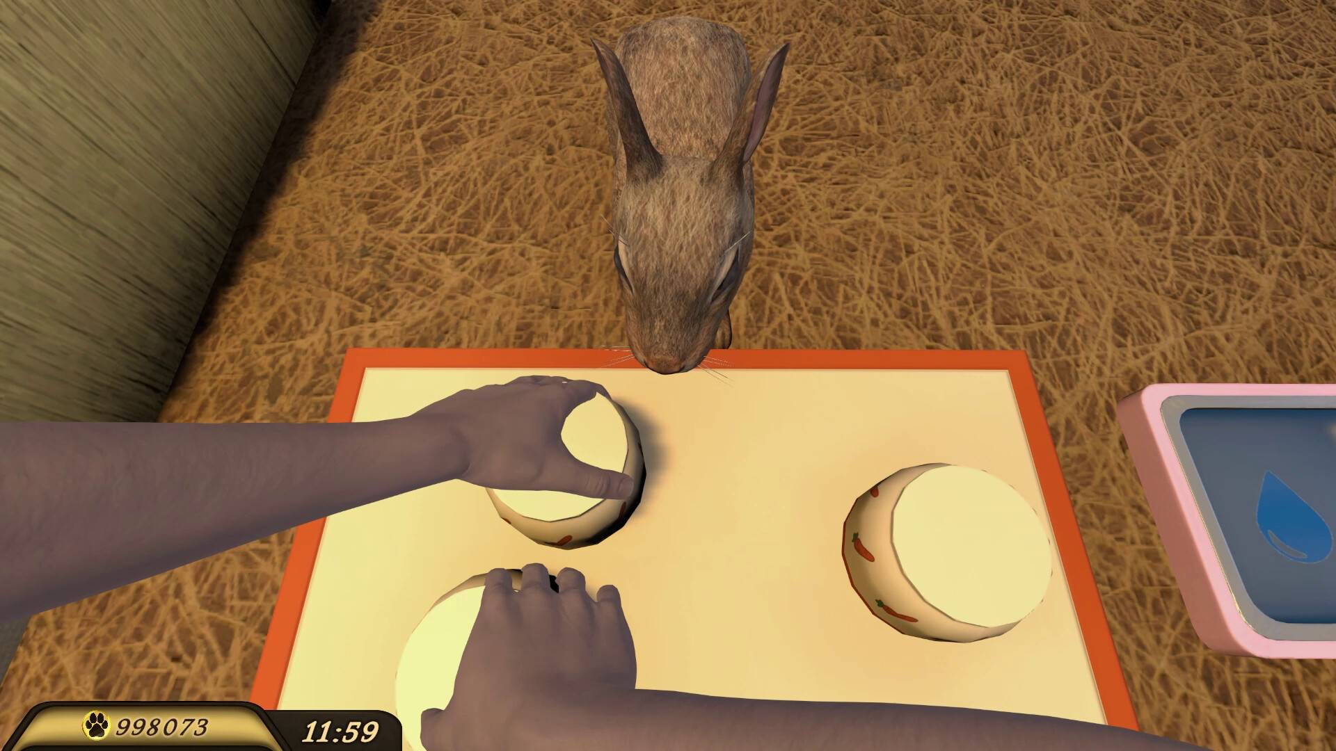 宠物旅馆/Pets Hotel_2