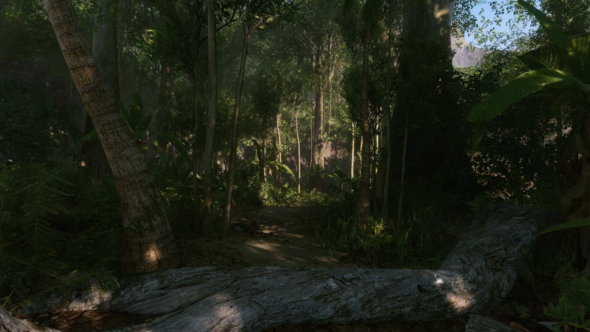 孤岛危机:重制版/Crysis Remastered_3