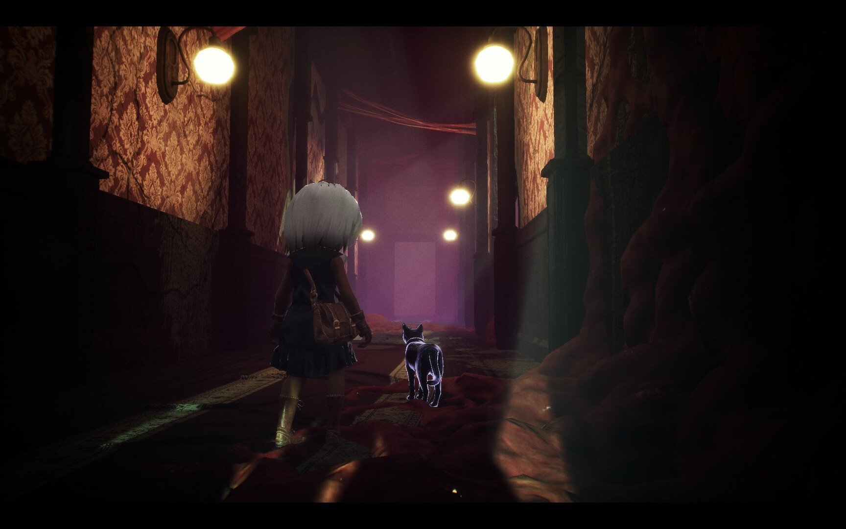 LIGHT：黑色小猫与失忆少女/LIGHT: Black Cat & Amnesia Girl_1