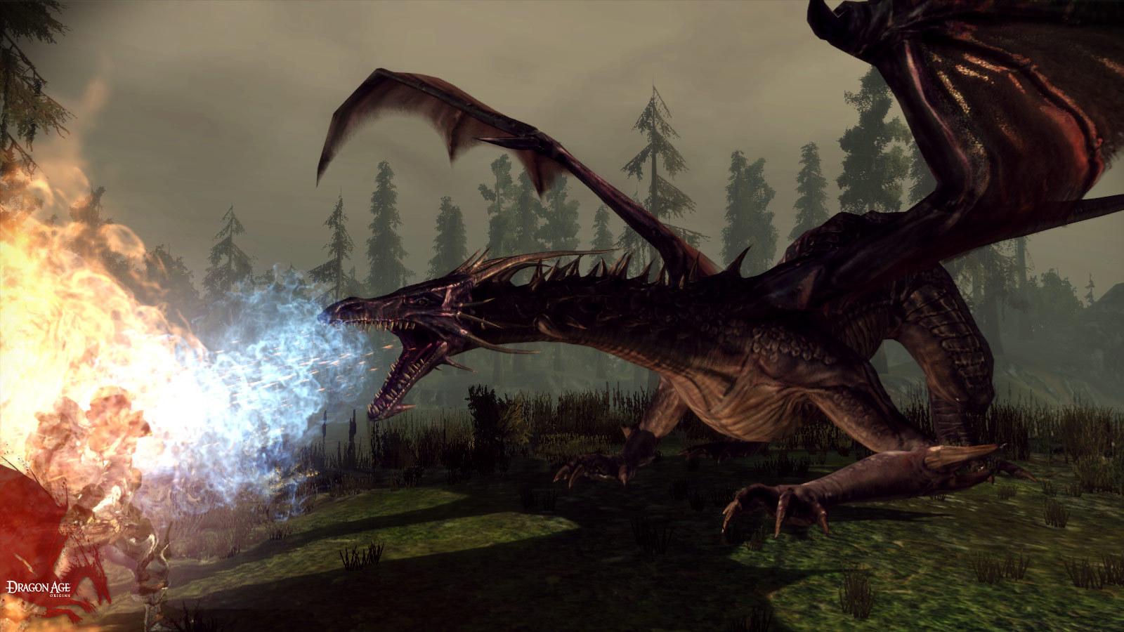 龙腾世纪:起源/Dragon Age:Origins_2