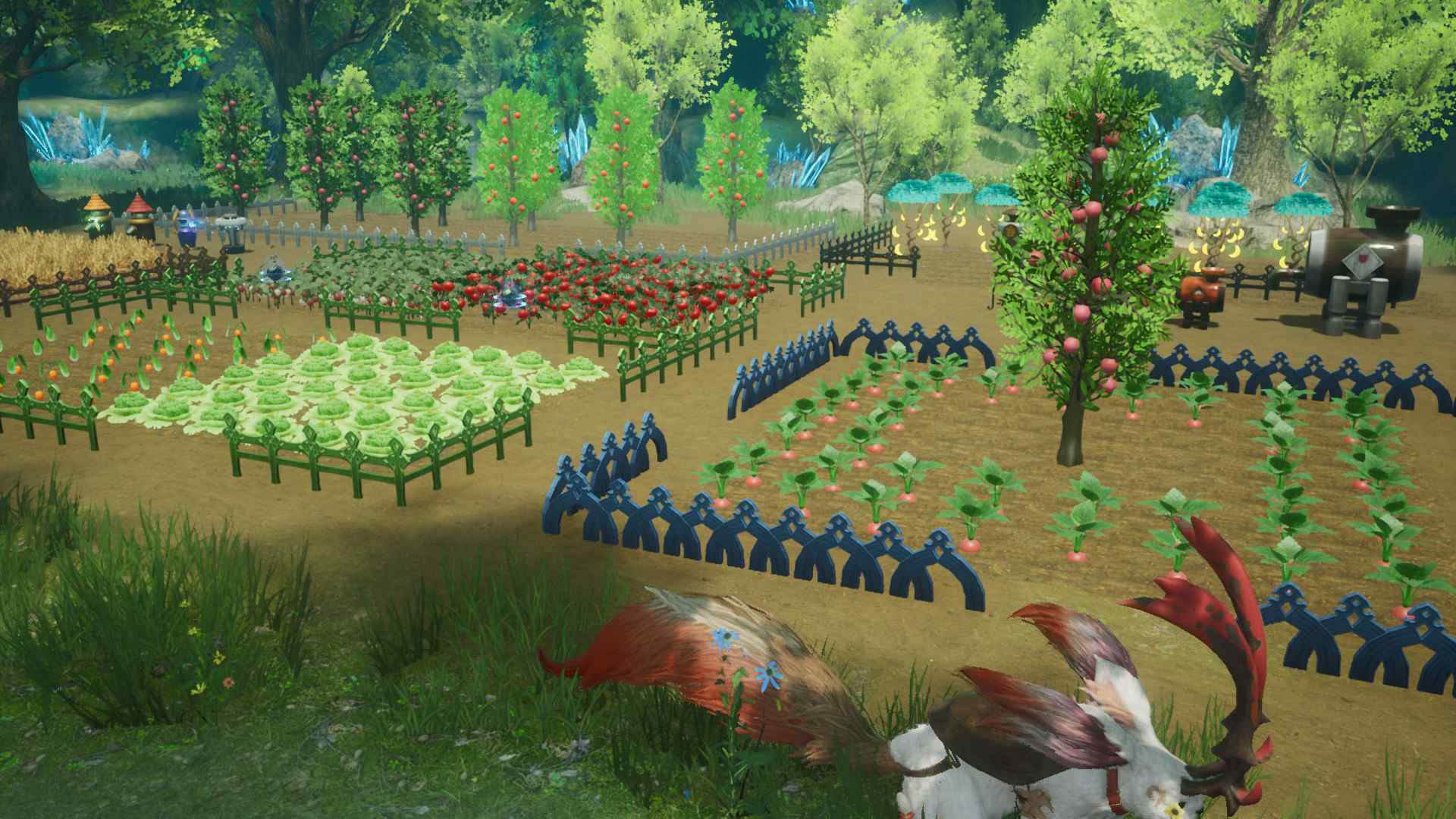HARVESTELLA_4
