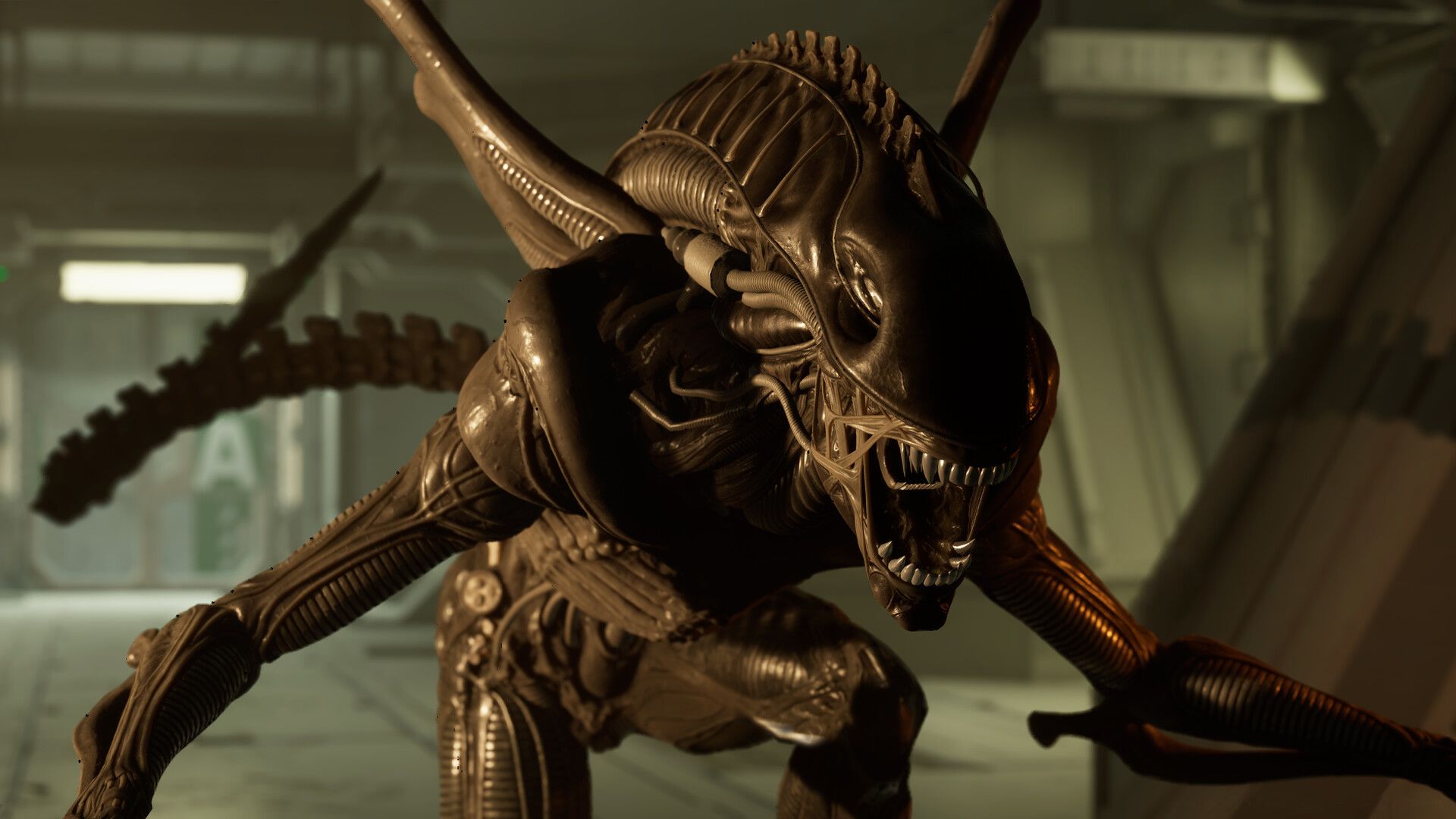 异形:侠盗入侵/Alien: Rogue Incursion/支持VR_3