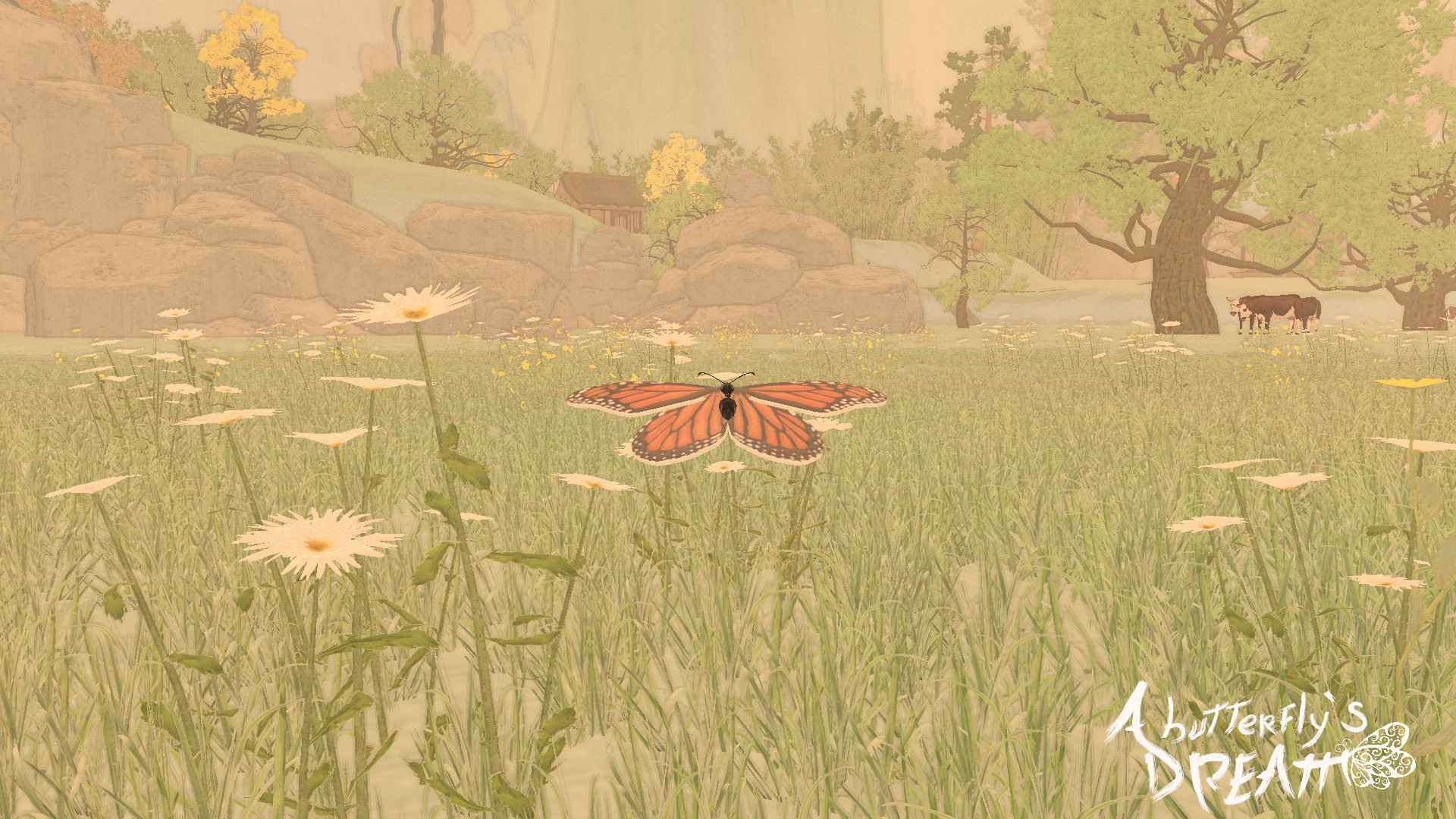 蝴蝶梦/A Butterfly's Dream_0