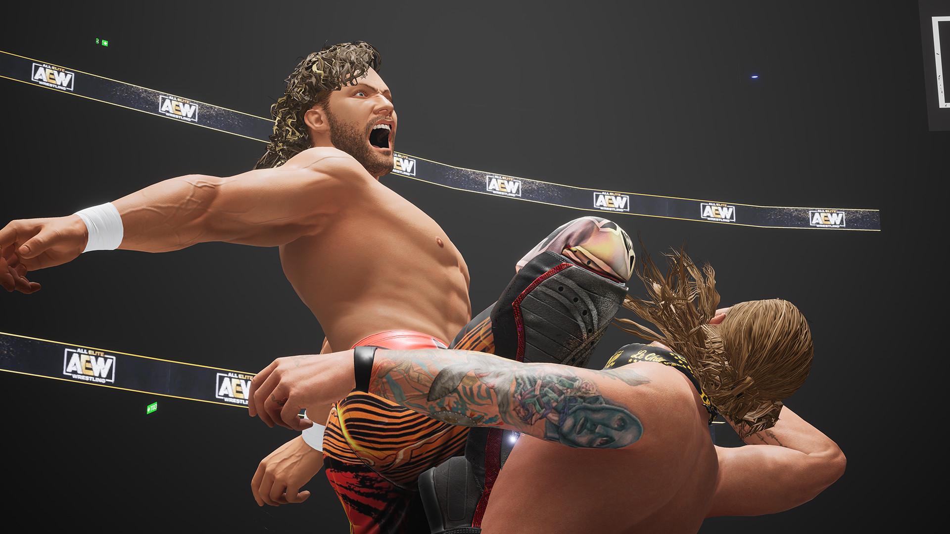全精英摔角：永远的战斗/AEW: Fight Forever_5