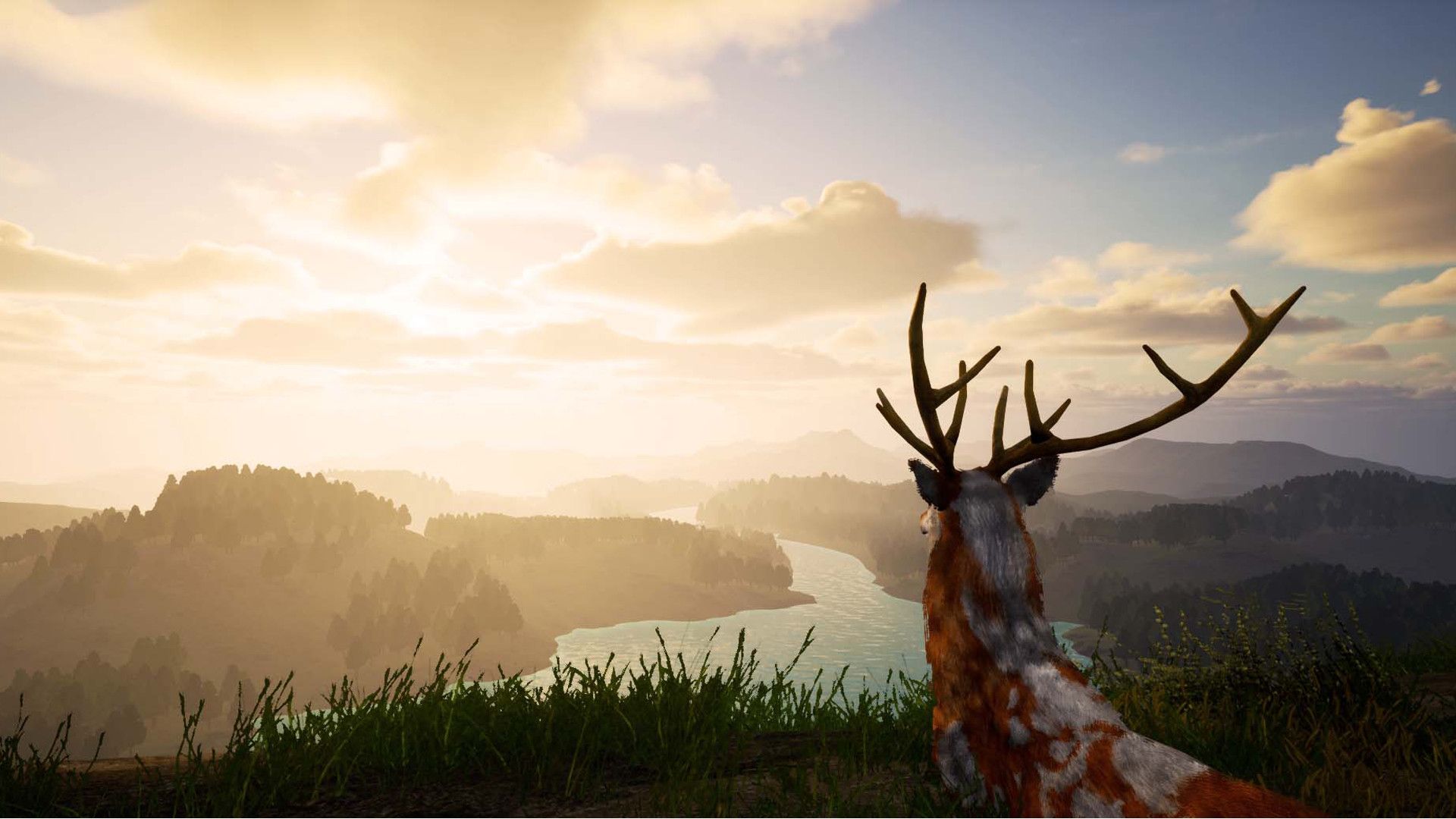 鹿之旅/Deer Journey_5
