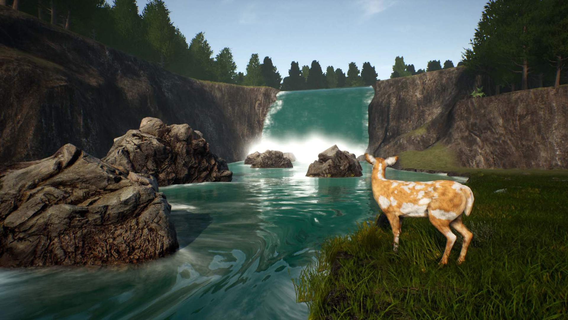 鹿之旅/Deer Journey_3