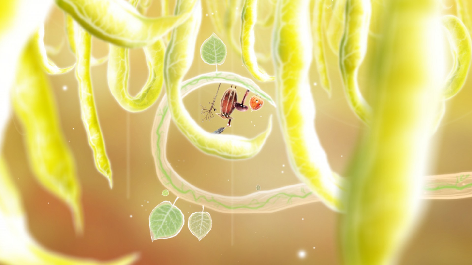 植物精灵/Botanicula_2