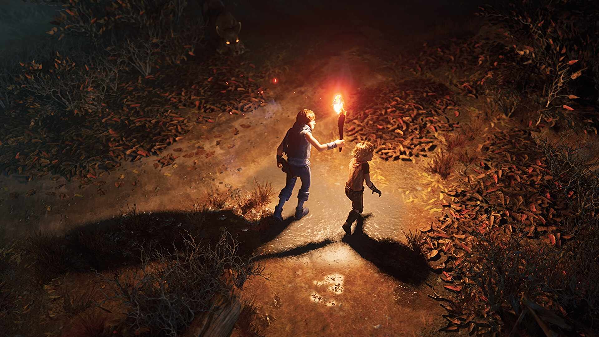 兄弟:双子传说 重制版/Brothers: A Tale of Two Sons Remake_0