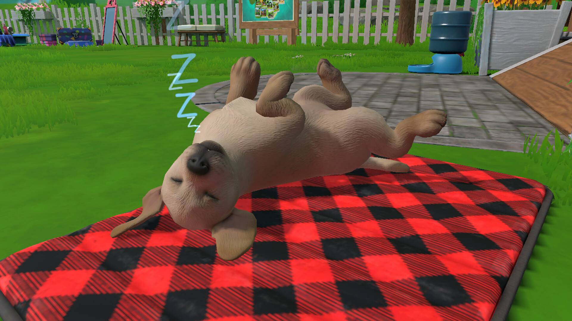 小小伙伴:汪星岛/Little Friends: Puppy Island_3