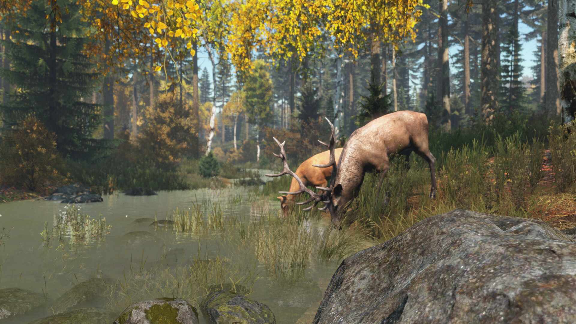 僵尸末日/DayZ_5