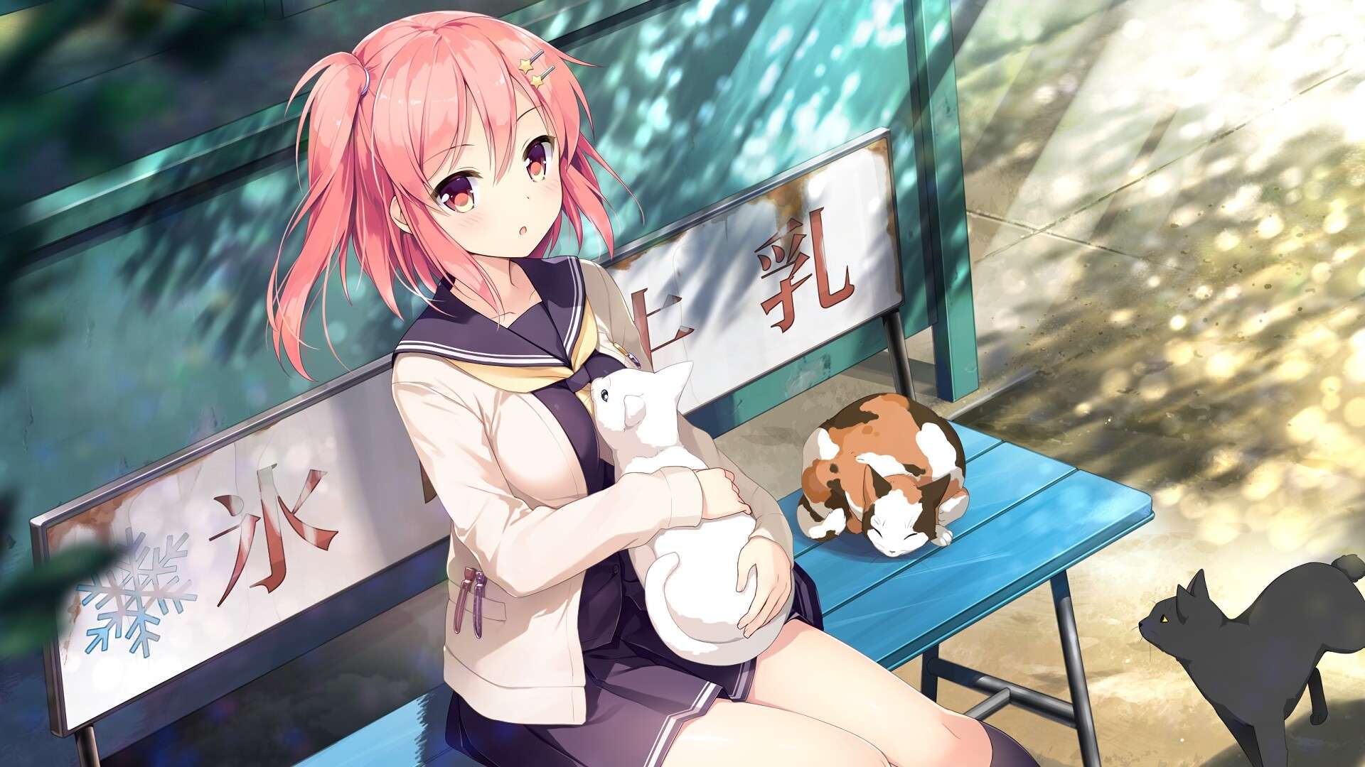 想要传达给你的爱恋/Koi x Shin Ai Kanojo_5