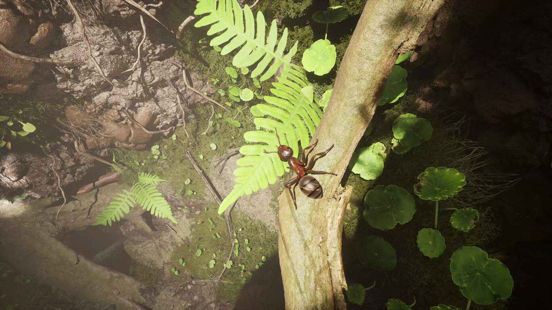 蚂蚁帝国/Empire of the Ants/支持网络联机_5