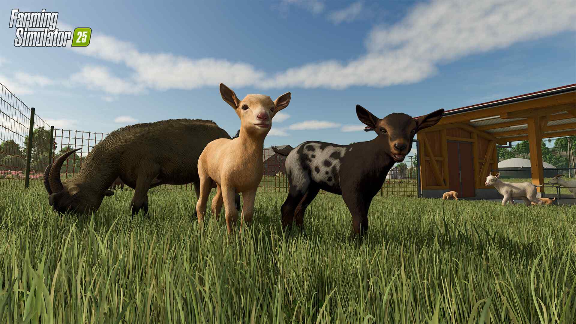 模拟农场25/Farming Simulator 25/支持网络联机_3