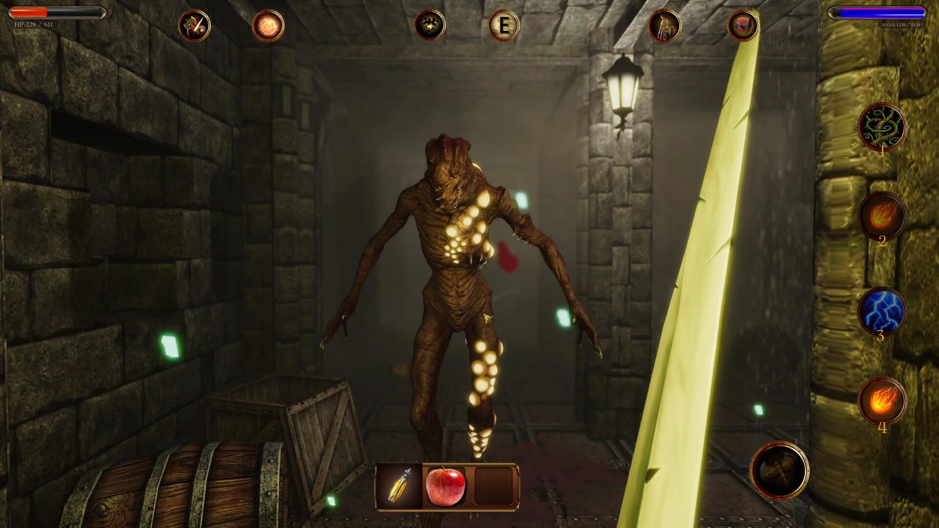 地牢传奇2:光与影传说/Dungeon Legends 2 : Tale of Light and Shadow_0