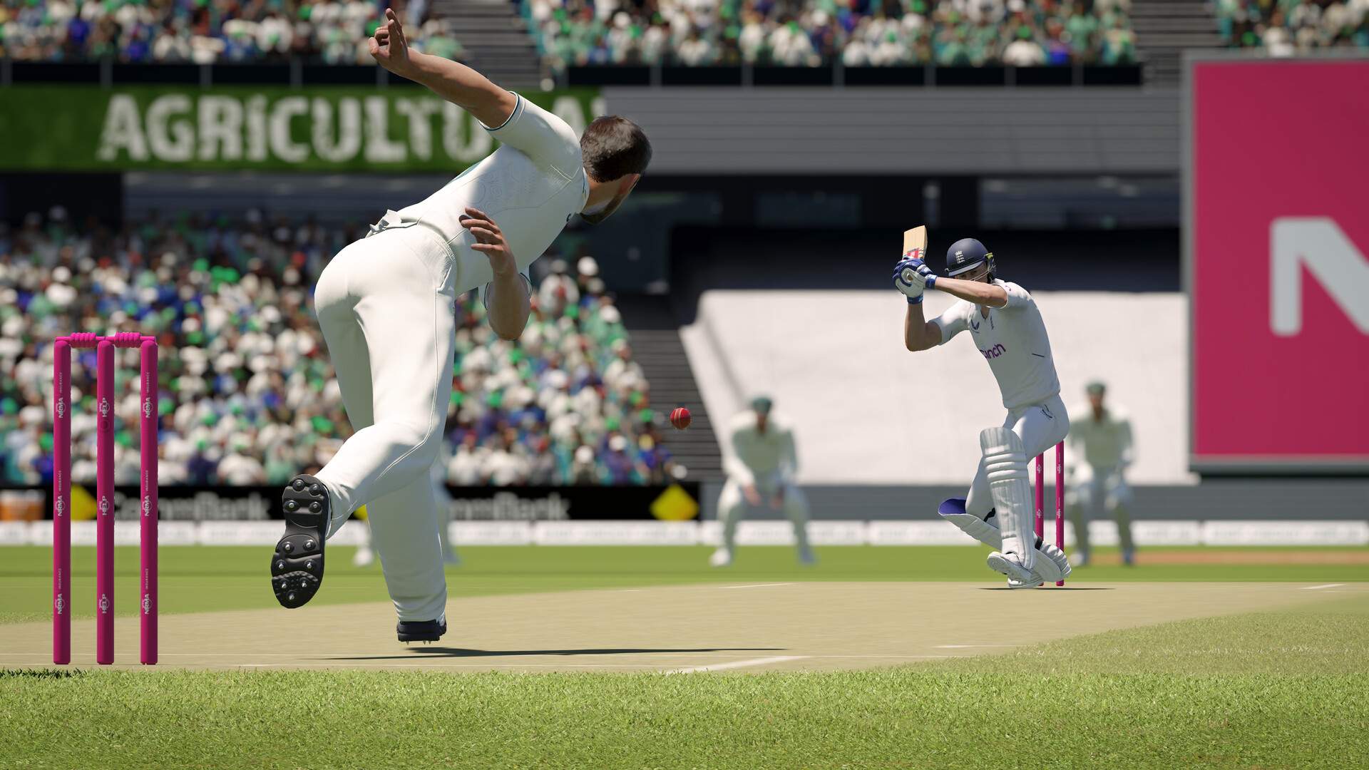 板球24/Cricket 24_5