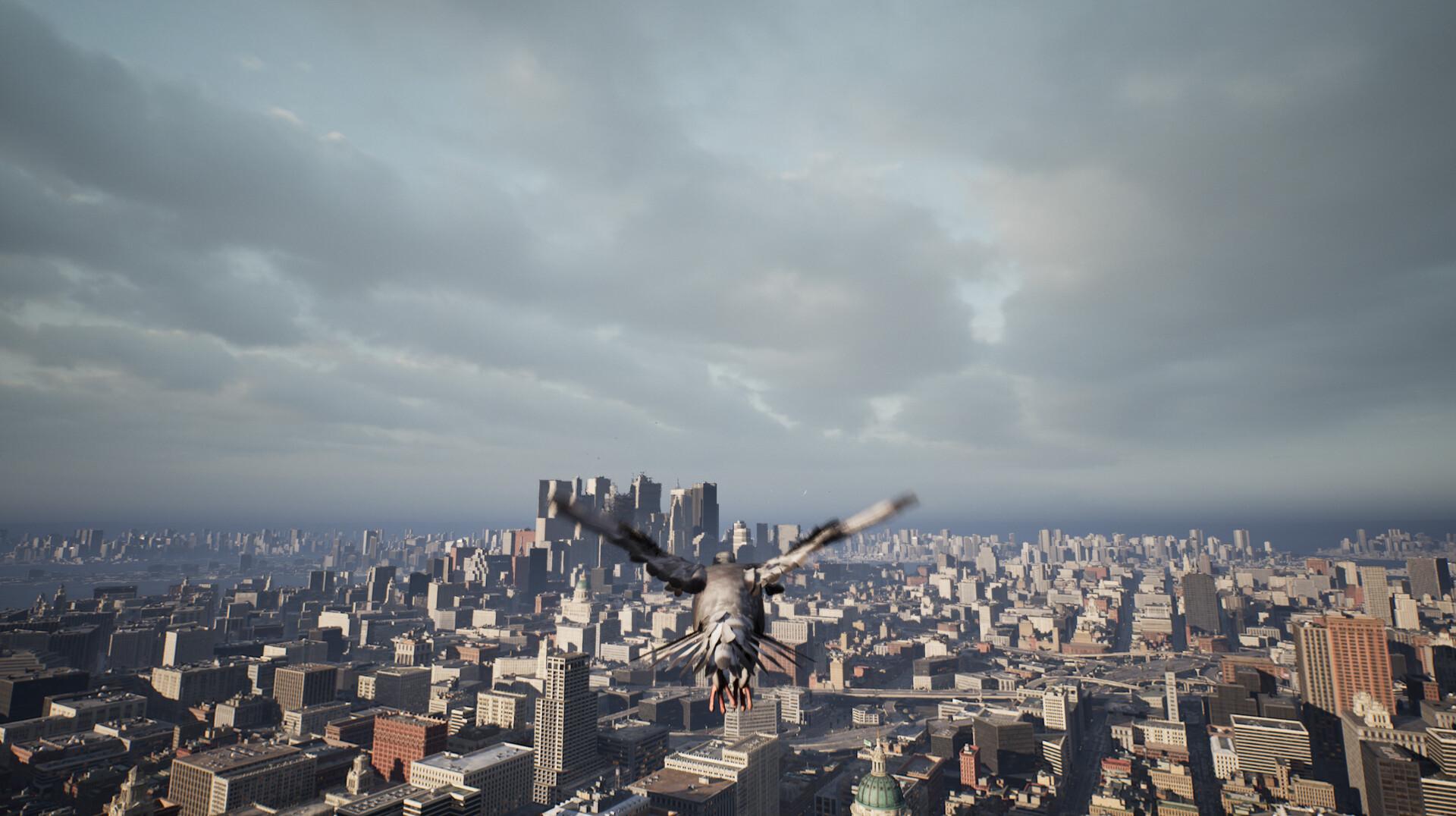 鸽子飞行模拟器/Pigeon Flight Simulator_3