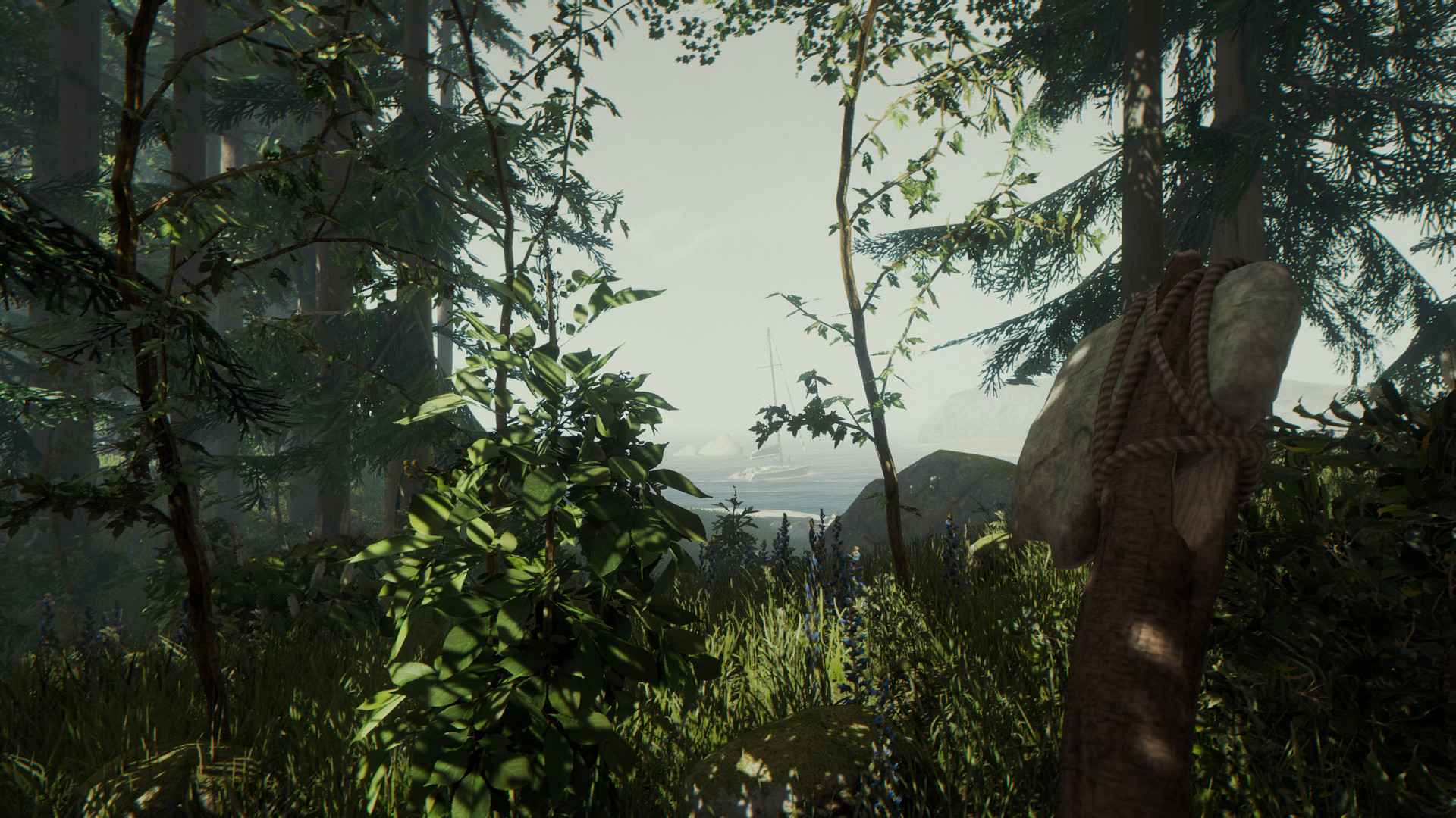 森林/迷失森林/The Forest_3