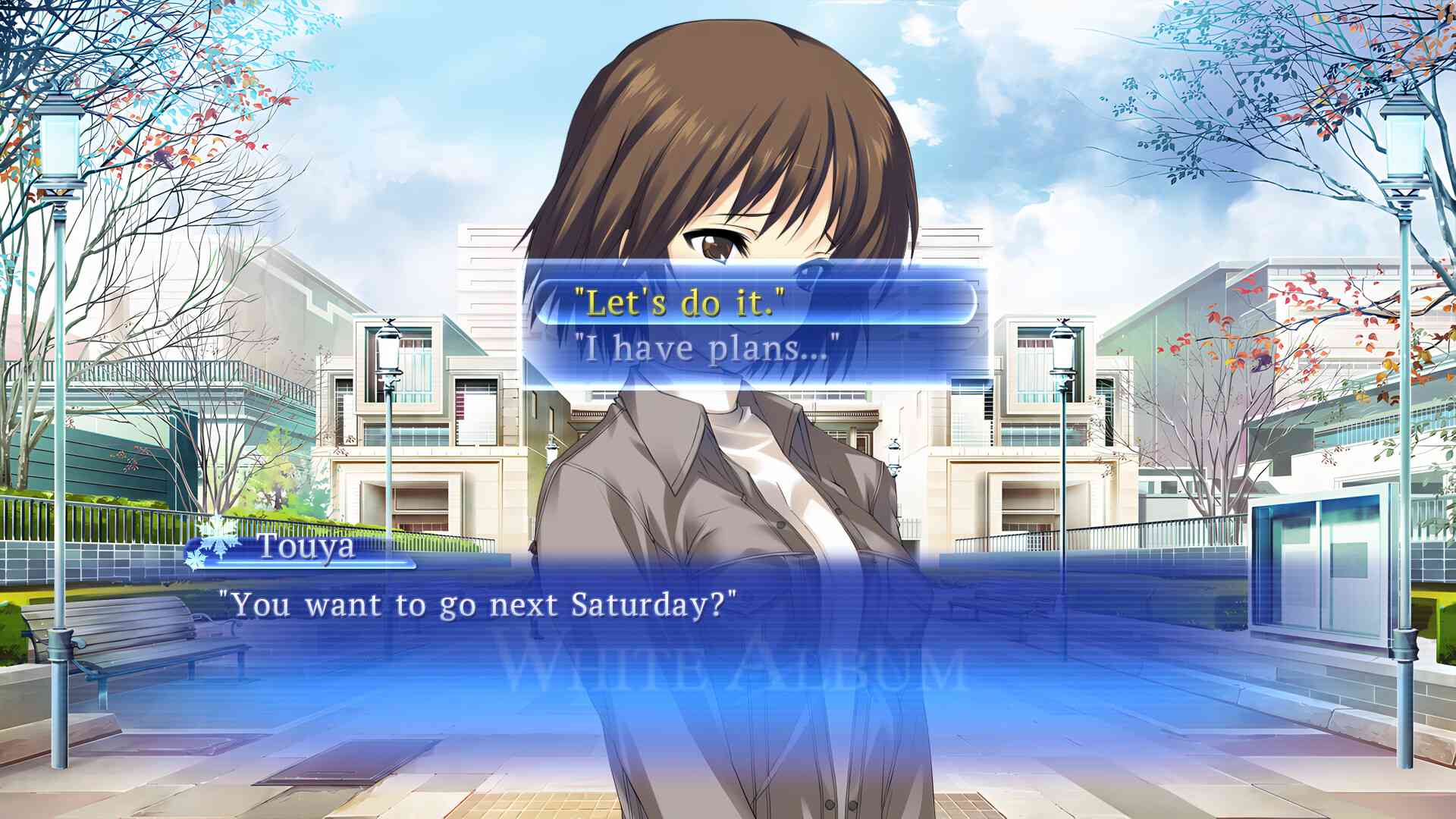 白色相簿/WHITE ALBUM: Memories like Falling Snow_2